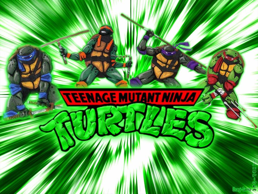 1024x768 Cartoons Ninja Turtles Wallpaper HD HD Wallpaper