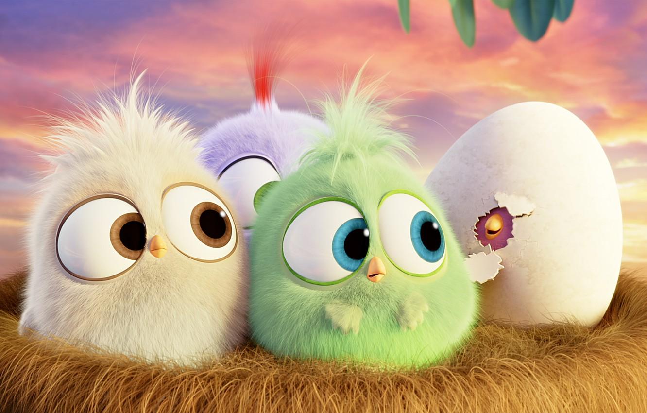 1332x850 Wallpaper cartoon, egg, socket, birds, Hatchlings Angry Birds image for desktop, section фильмы