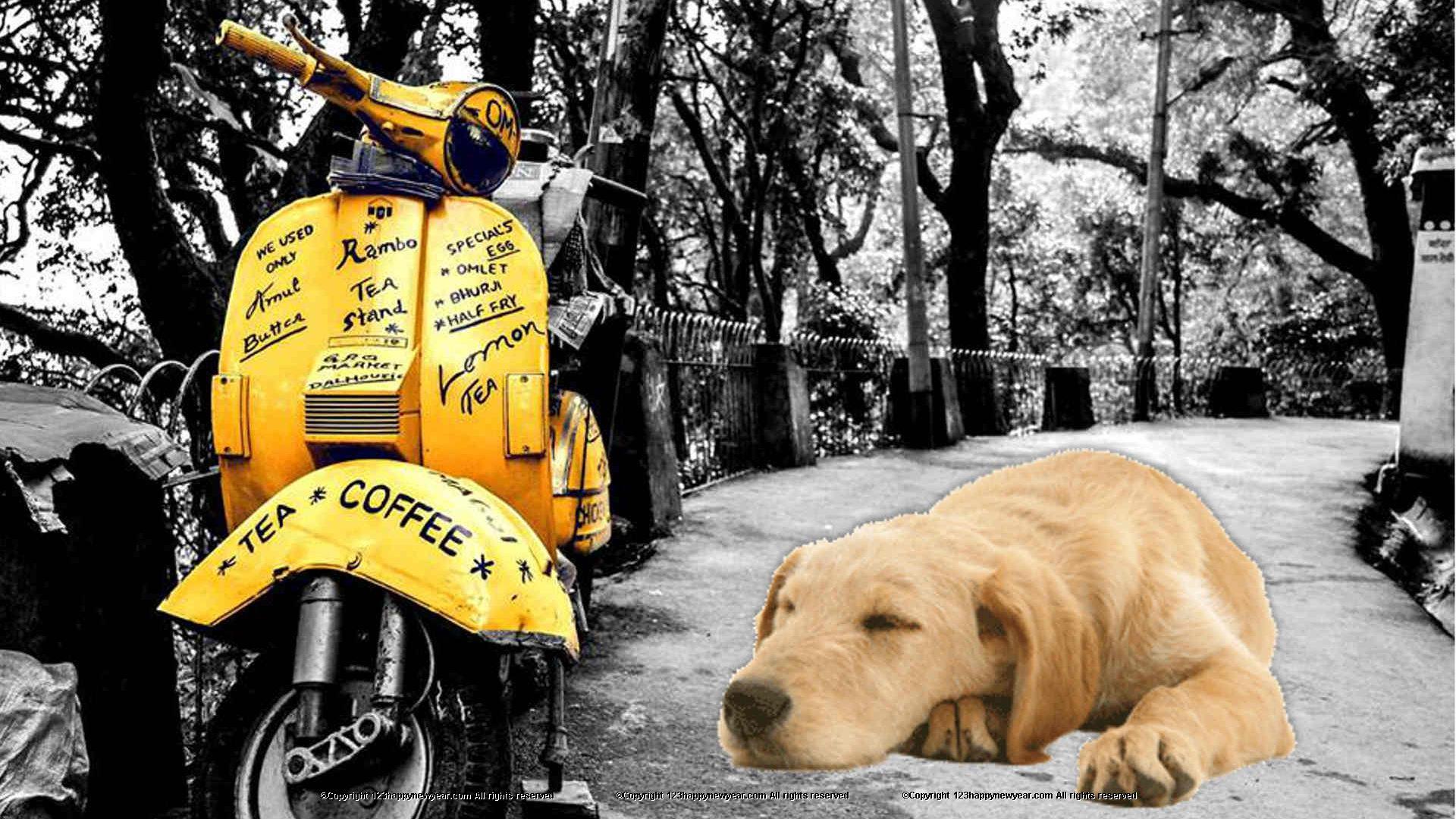 1920x1080 Sleeping dogs wallpaper hd