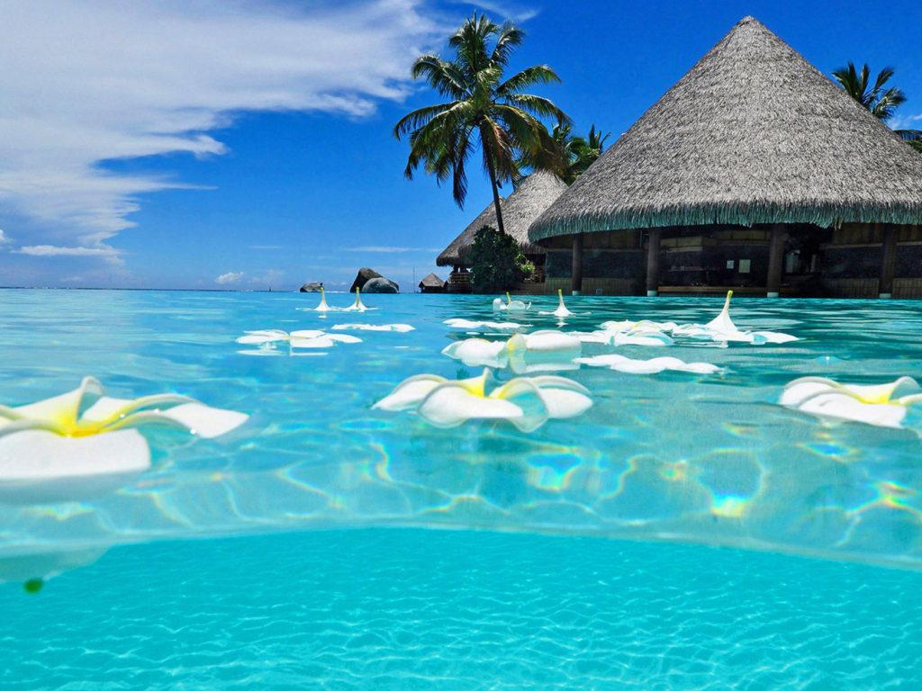 1024x768 Cancun Mexico Beach Beach Tropical Summer HD Wallpaper 3840x2160 :