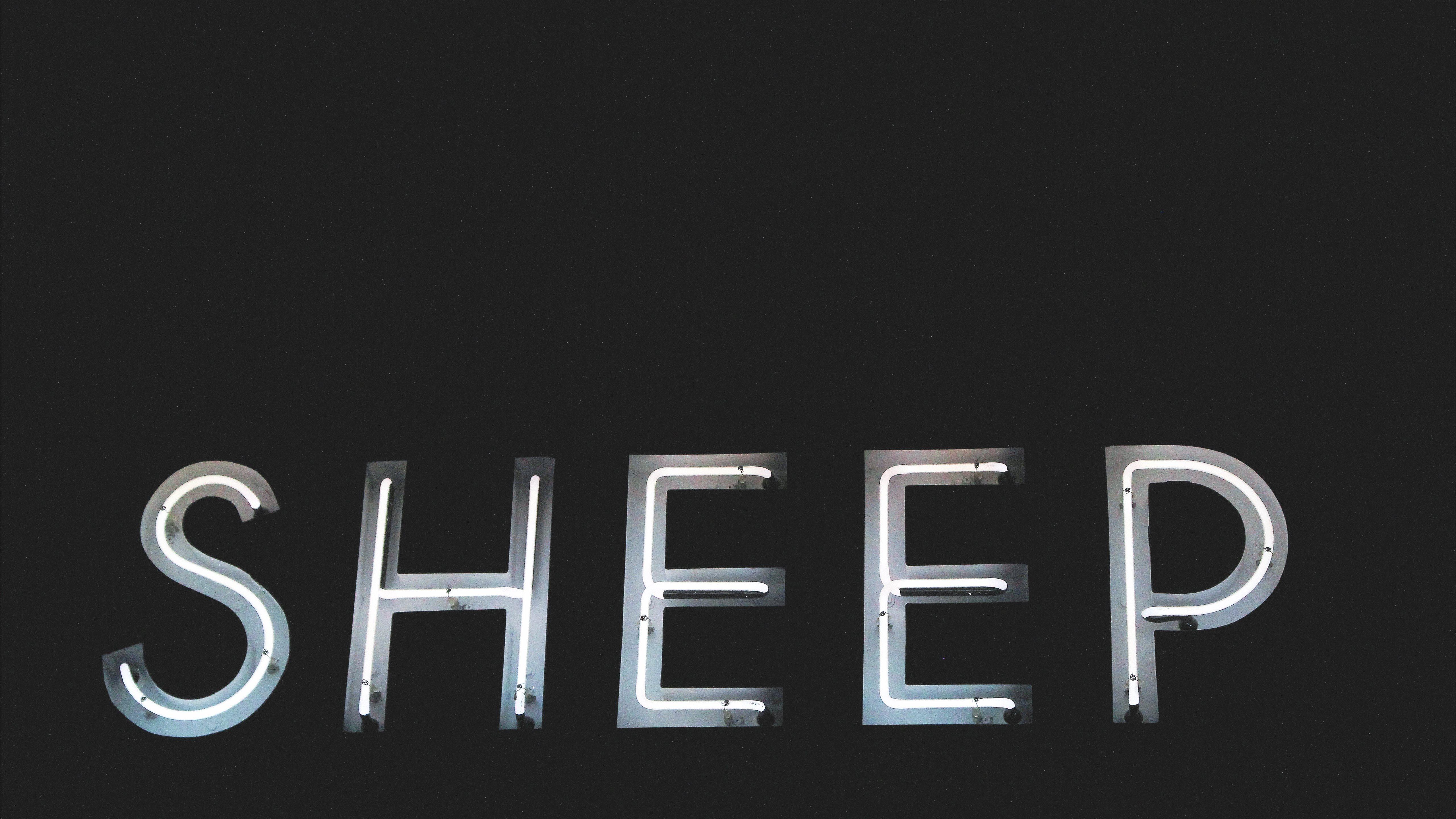 5120x2880 White Neon Sign Sheep MacBook Air Wallpaper Download