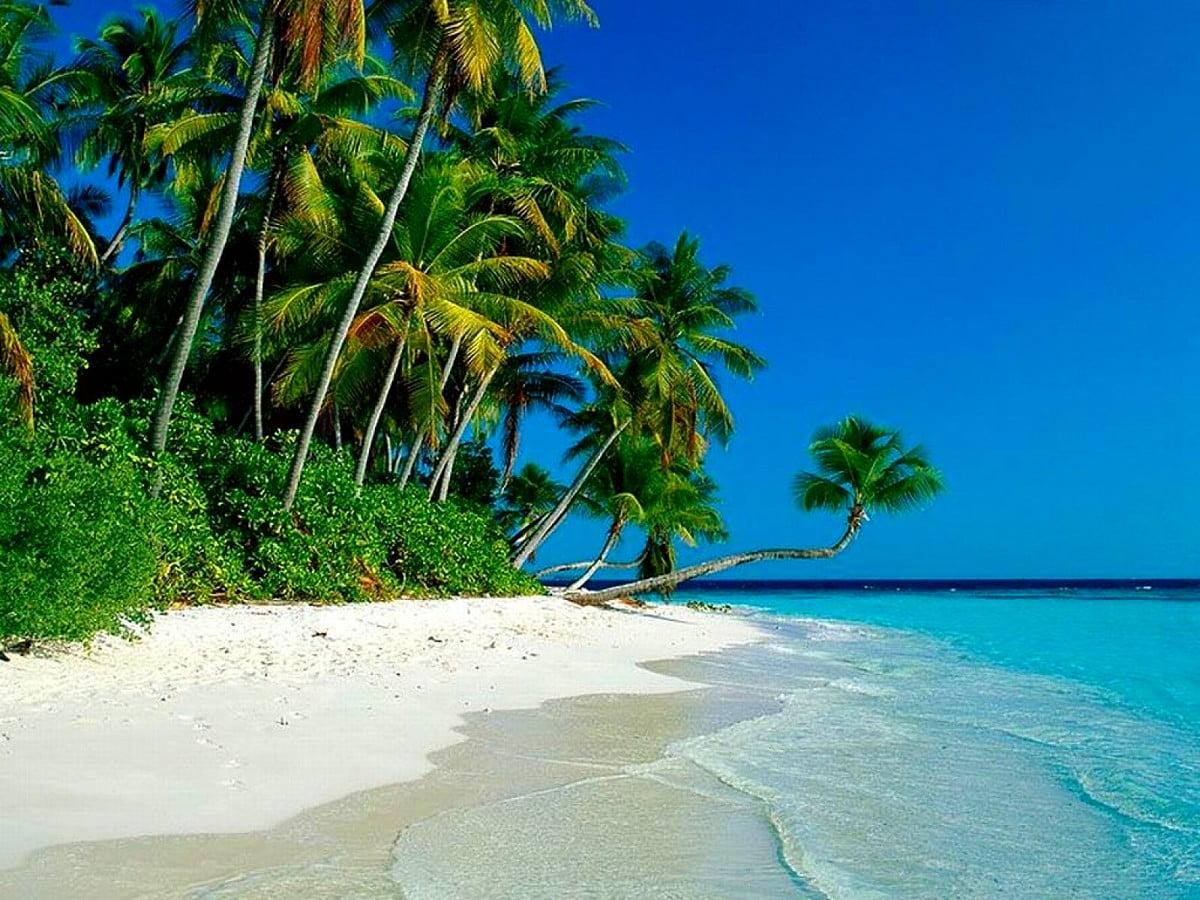 1200x900 Beach, Tezozómoc Park, Mexico City wallpaper. TOP Free Download picture