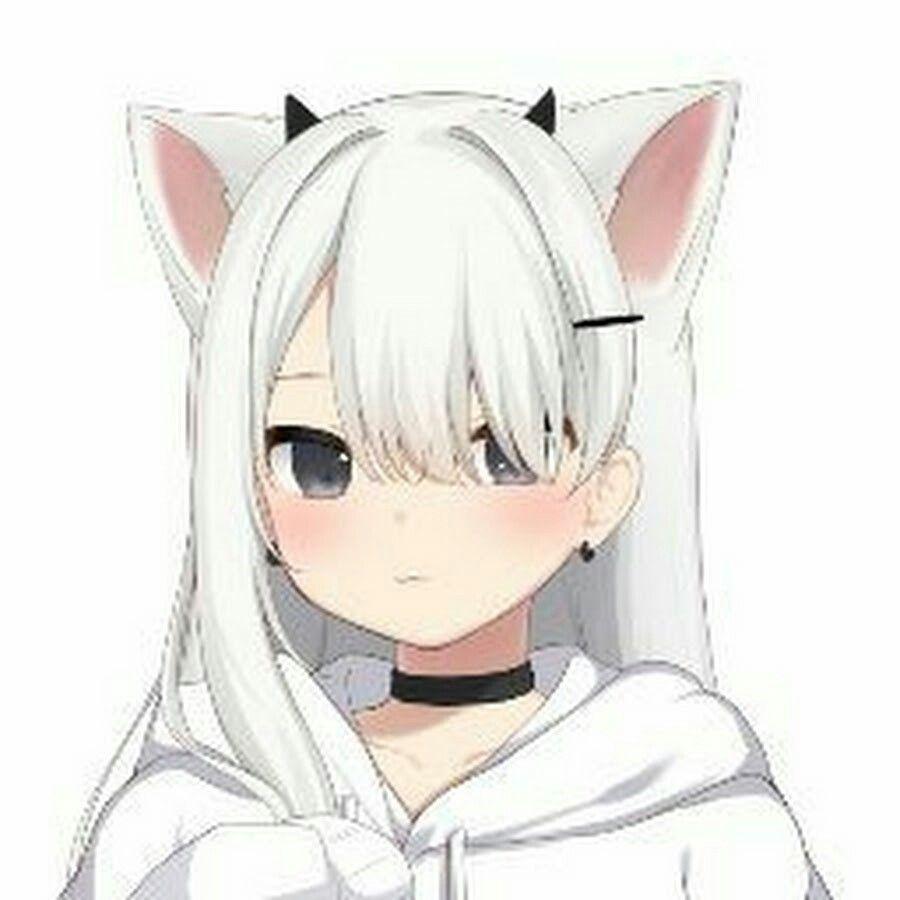 900x900 grrr