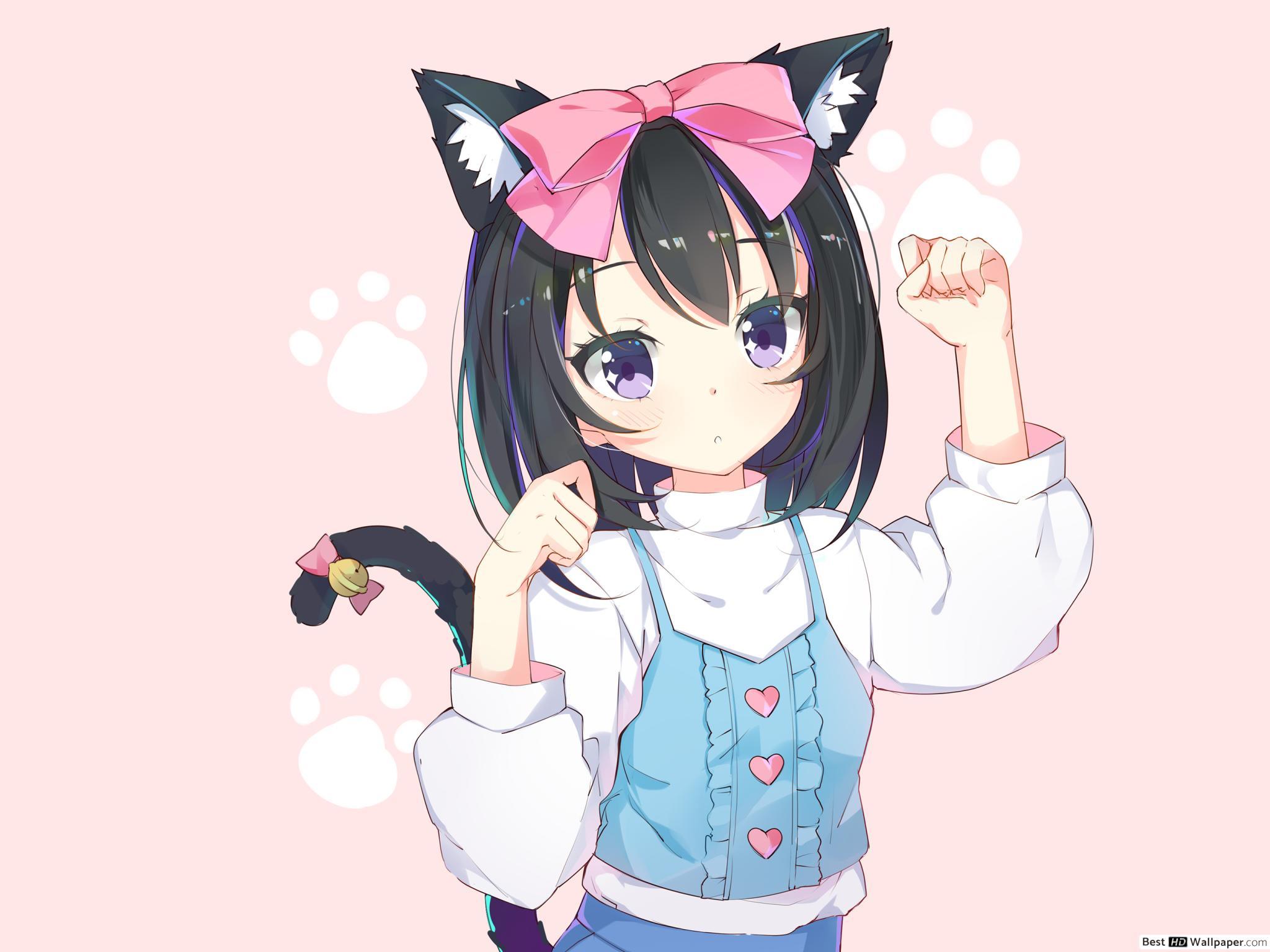 2048x1536 Adorable Cat Girl HD wallpaper download
