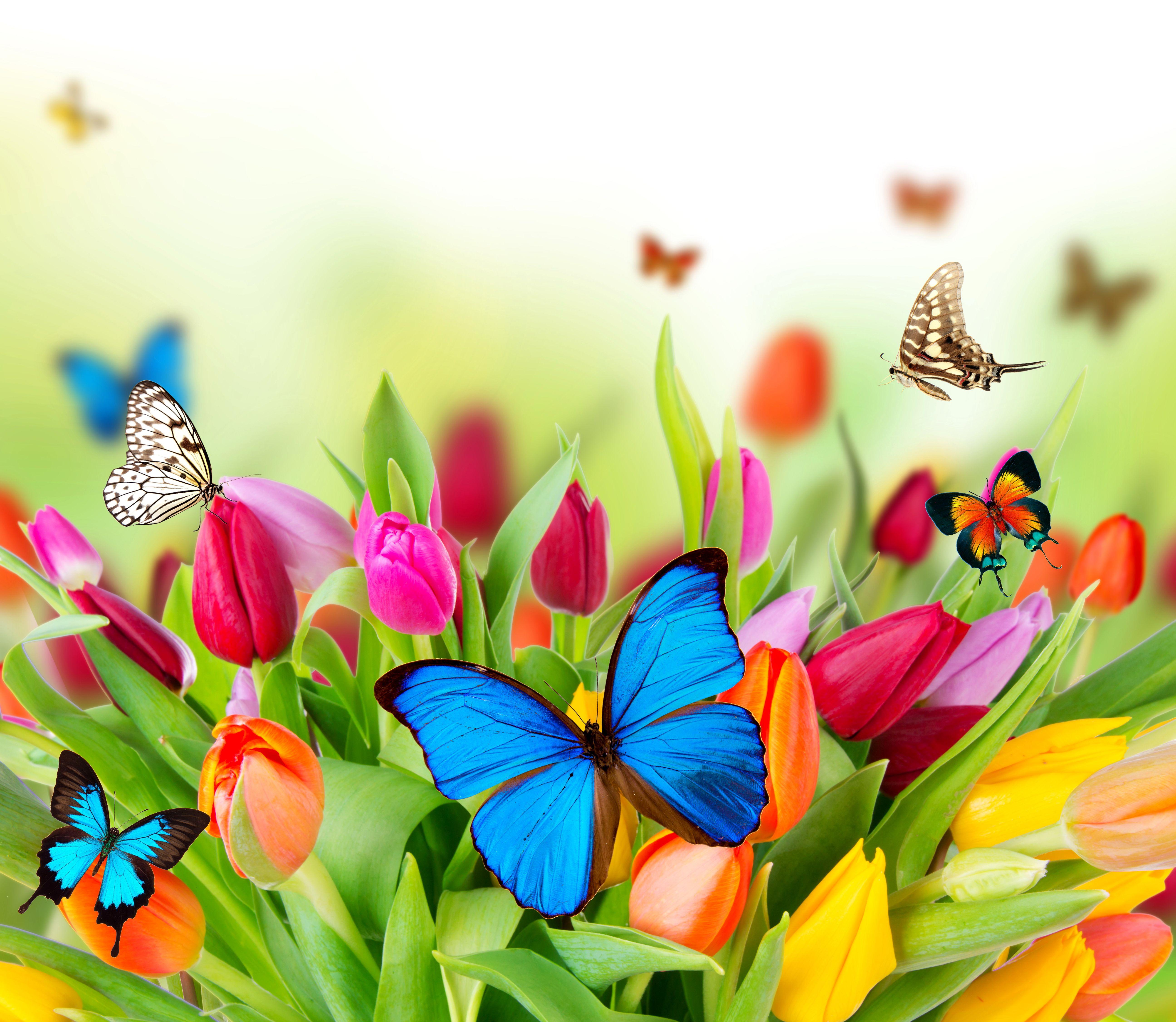 My Image 11