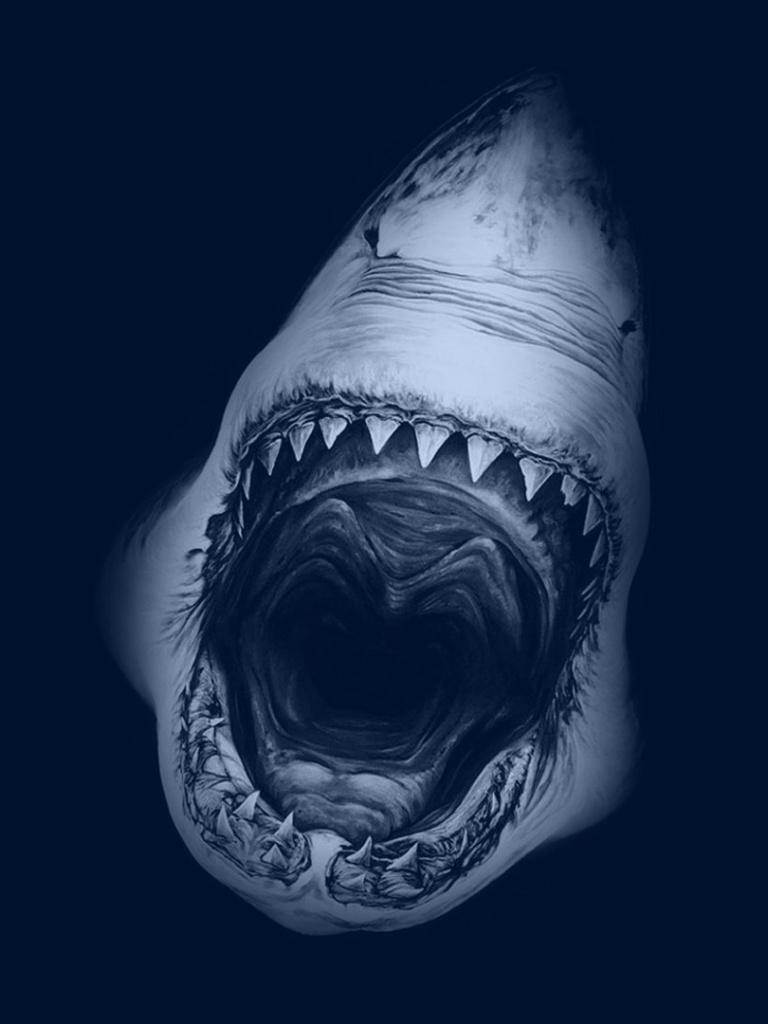 768x1024 Great White Shark iPad wallpaper