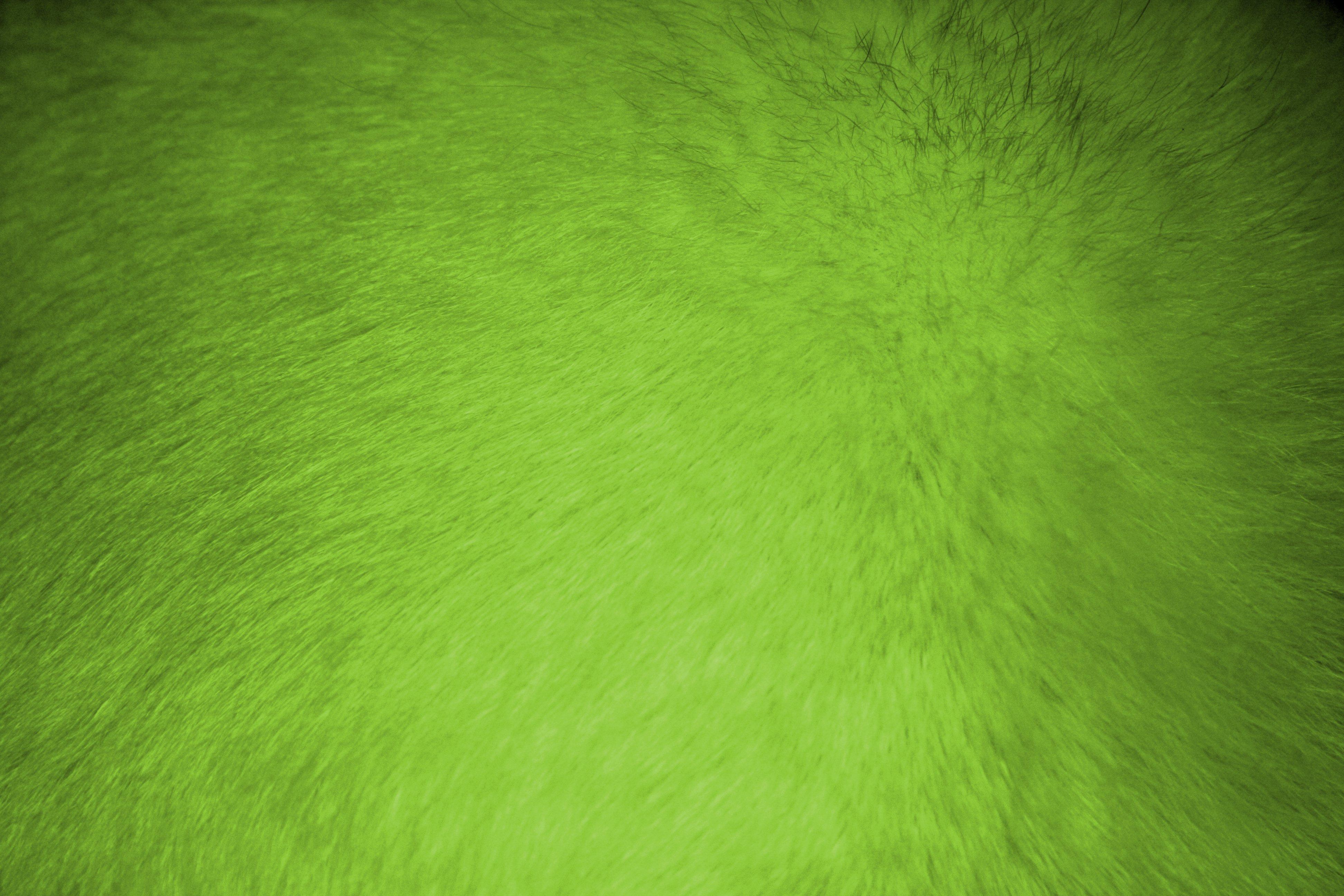 Light Green Texture Wallpapers Top Free Light Green Texture Backgrounds Wallpaperaccess 