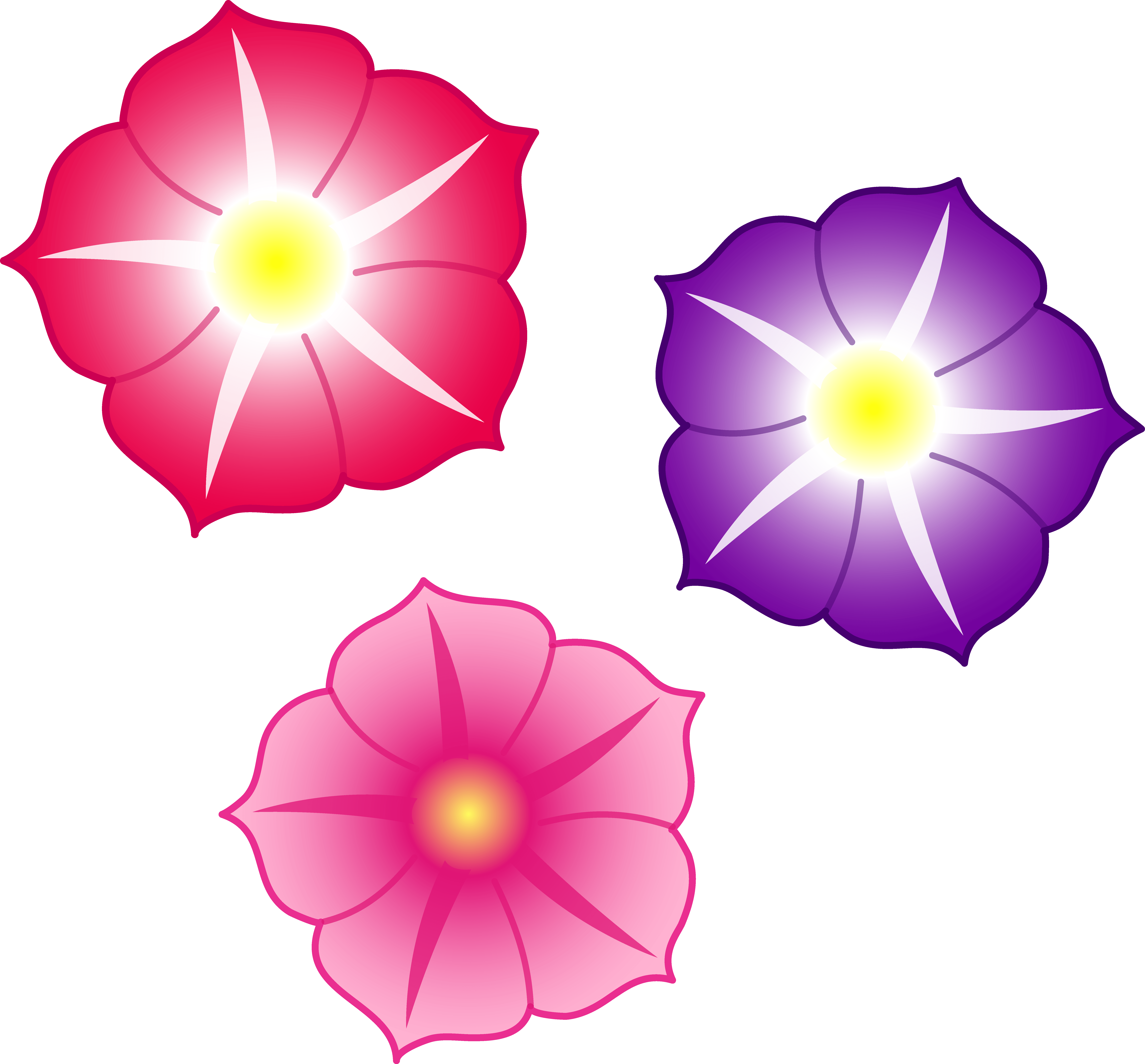 7593x7053 flower wallpaper pink background