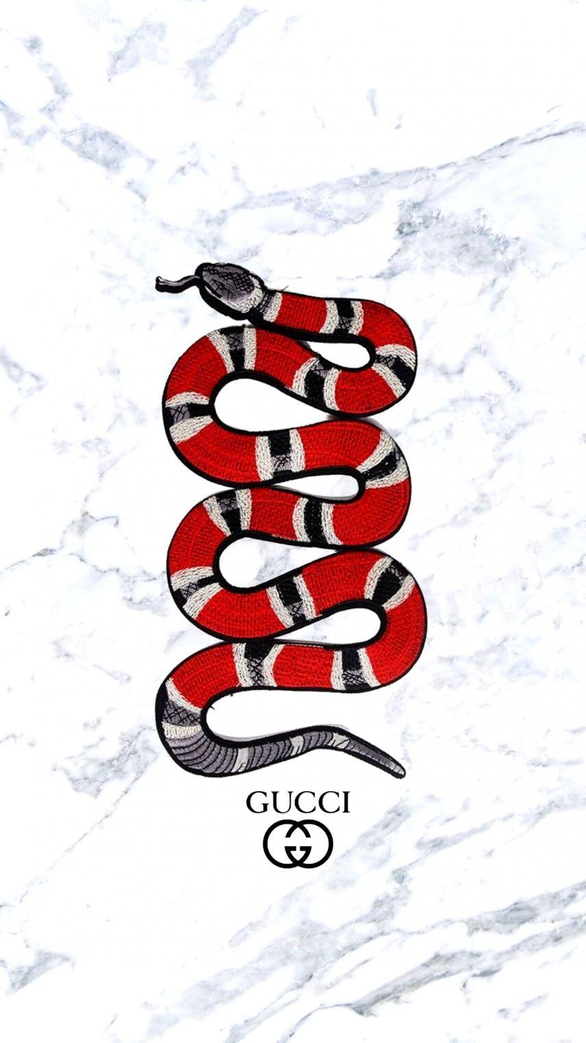 Gucci Snake Wallpapers  Top Free Gucci Snake Backgrounds  WallpaperAccess