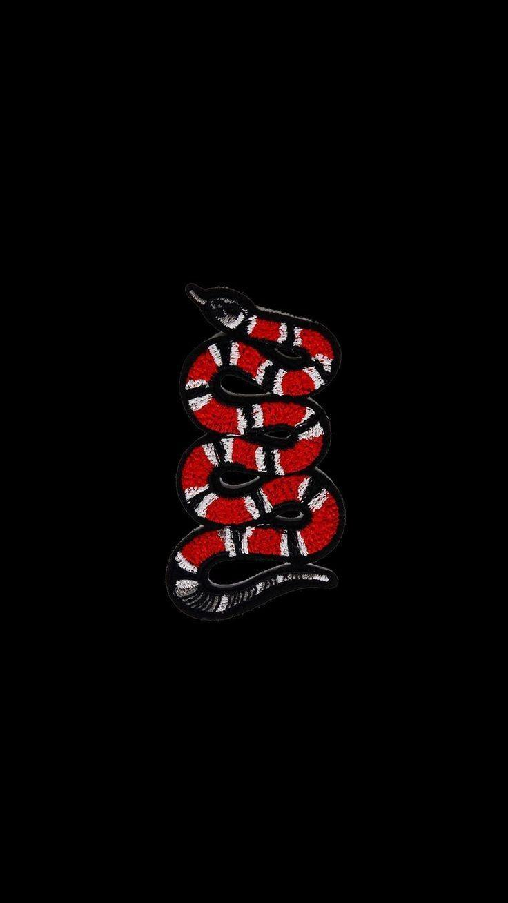 Download Striking Gucci Snake Wallpaper in Vibrant Red Wallpaper   Wallpaperscom
