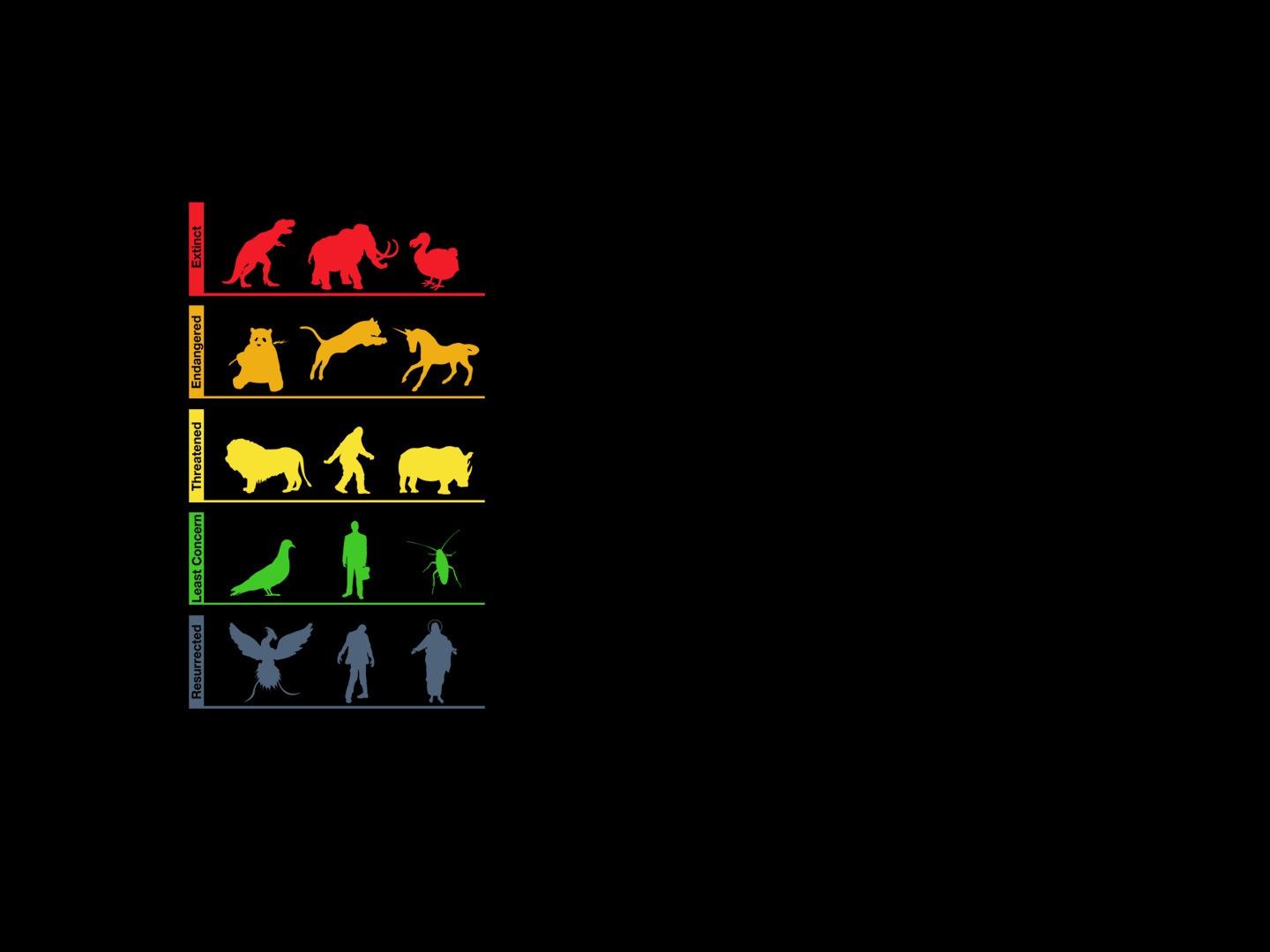1440x1080 simple minimalism evolution black humor red yellow green wallpaper
