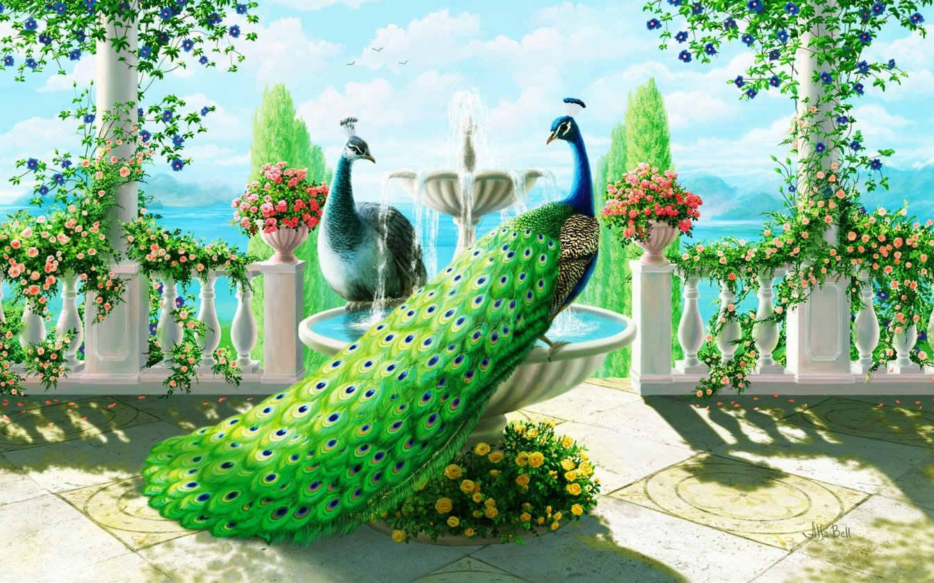 1344x840 animal peacock greek column Garden flower leaves photography background Computer print children kids backdrops. Background