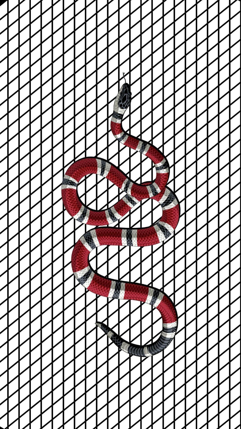 Free download louis vuitton wallpaper [500x500] for your Desktop, Mobile &  Tablet, Explore 96+ Gucci Snake Wallpaper