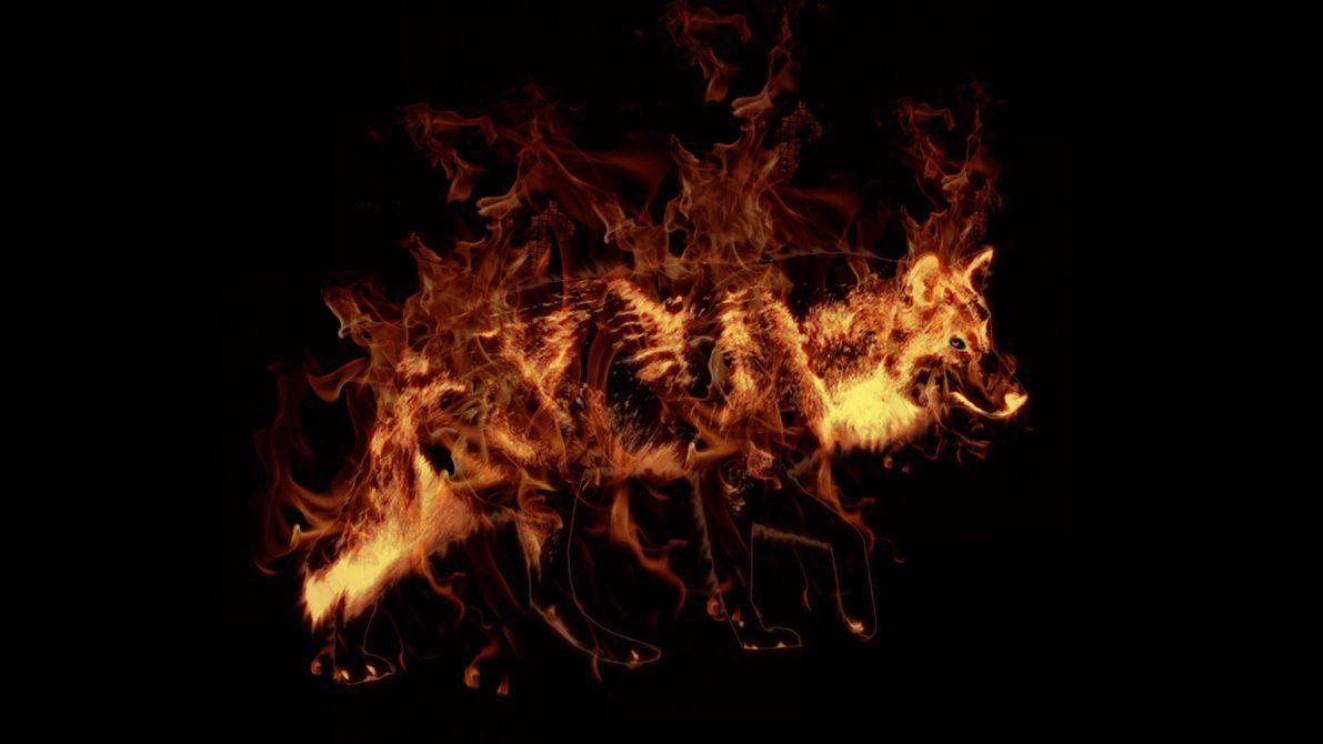 1191x670 Fire Wolf Wallpaper
