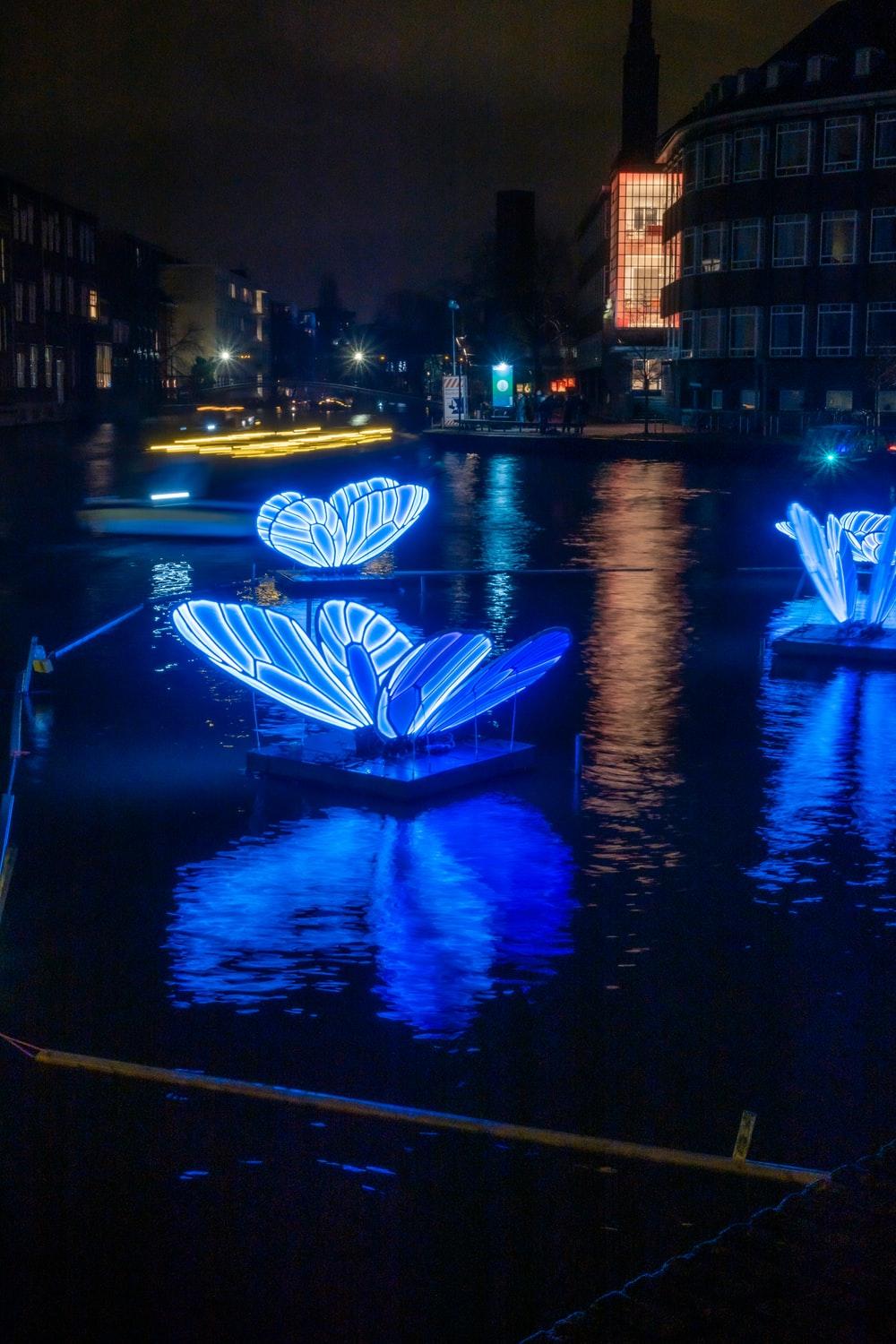 1000x1500 three blue butterfly lights photo