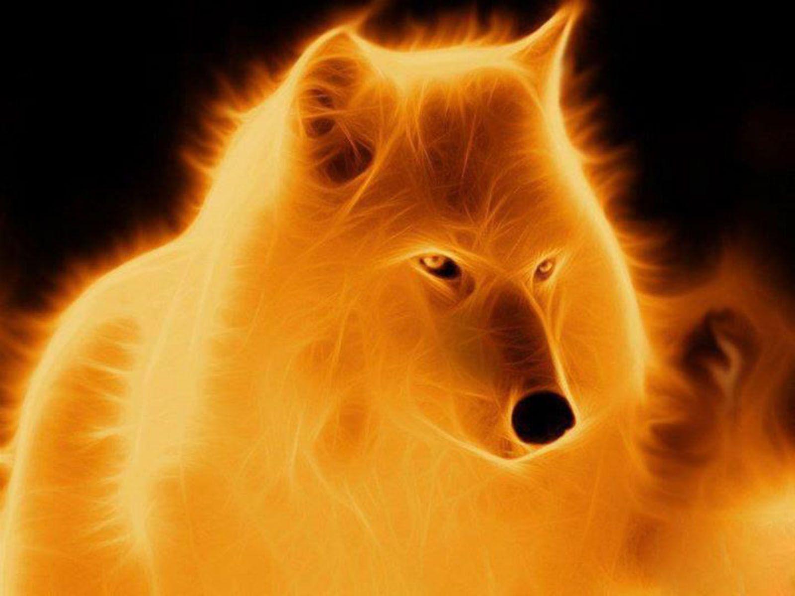 Flaming Wolf Wallpapers - Top Free Flaming Wolf Backgrounds ...
