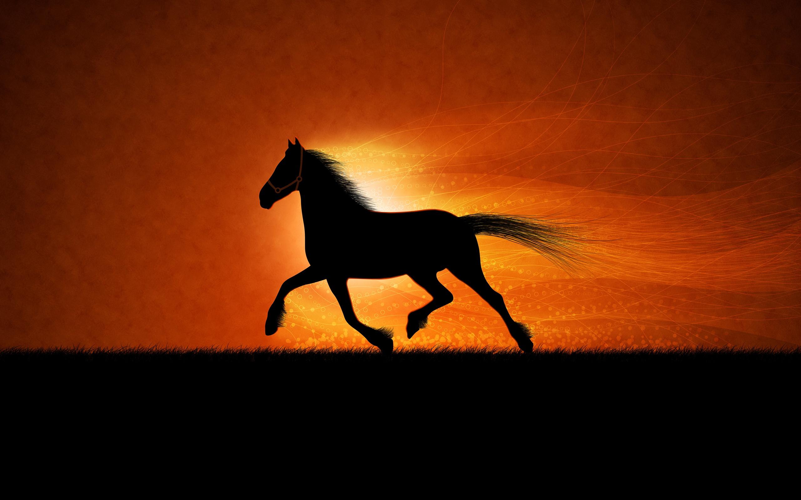 2560x1600 Black Galloping Horse in the Sunset HD Wallpaper