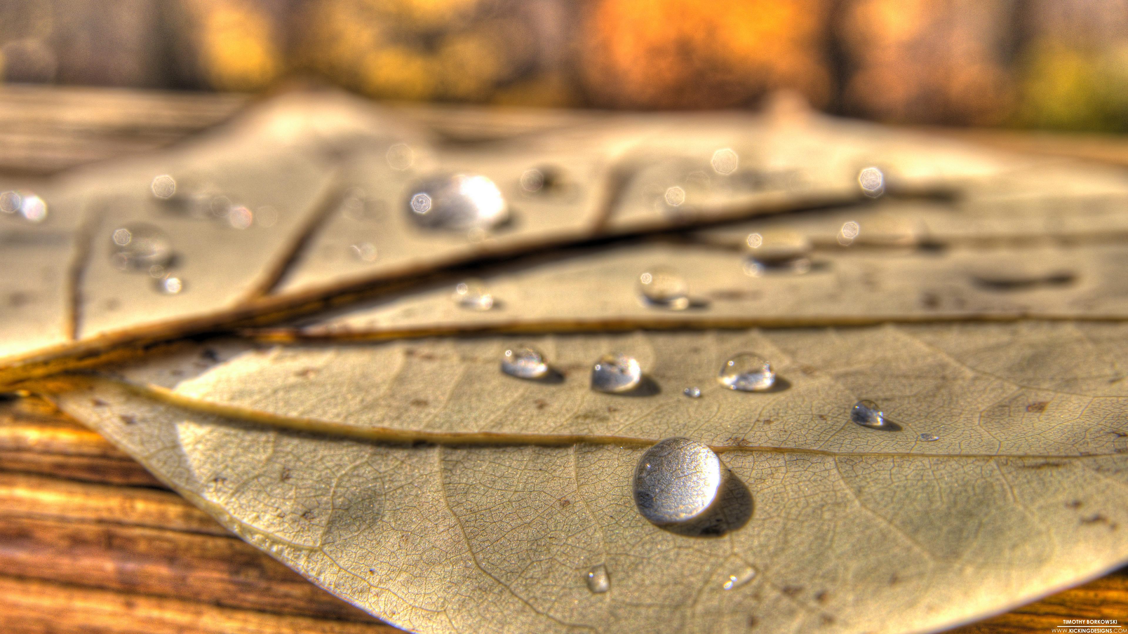 3840x2160 Cool Water Drops HD Wallpaper HD Wallpaper