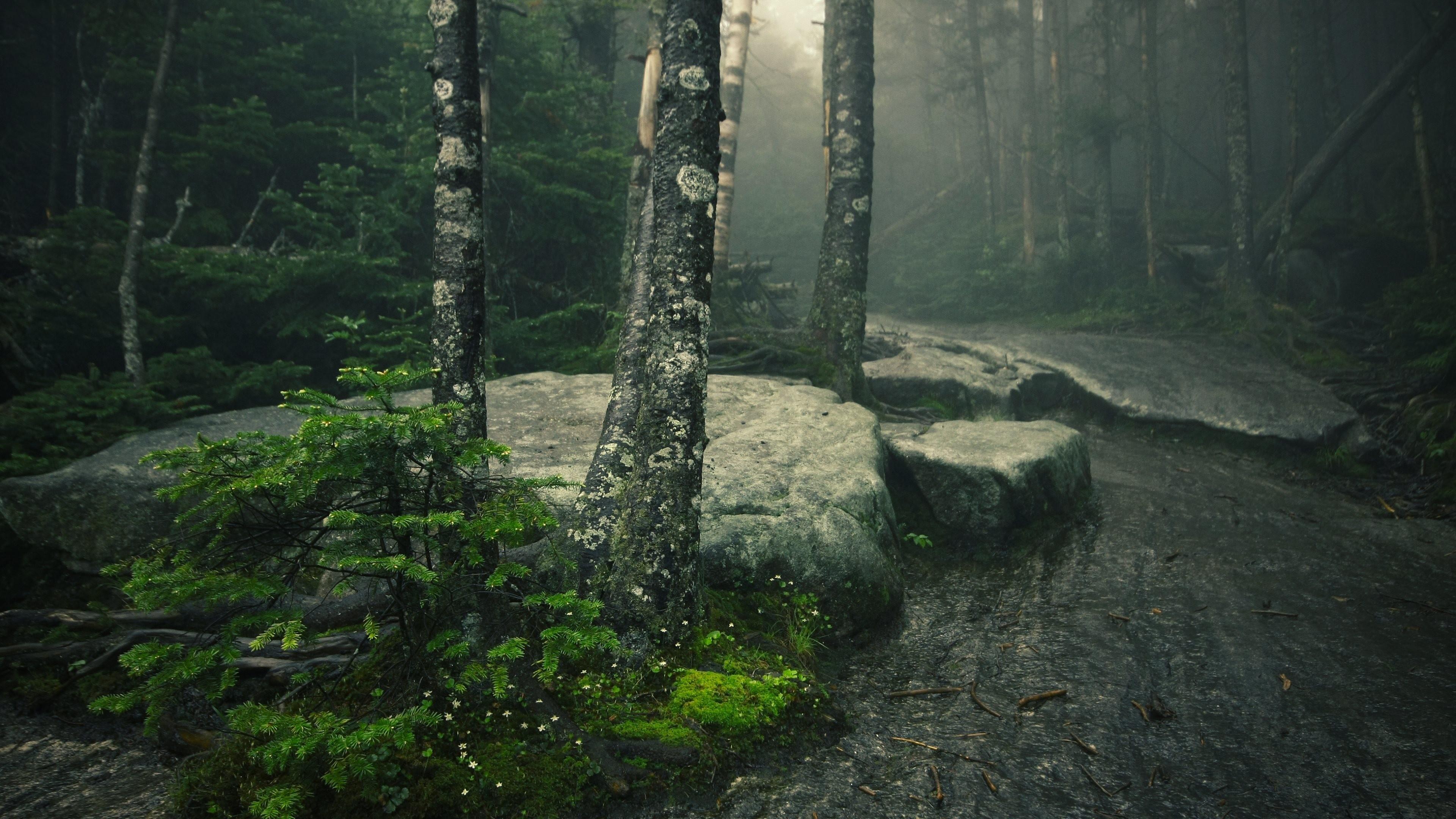 3840x2160 Download 64k Wallpaper Free Download