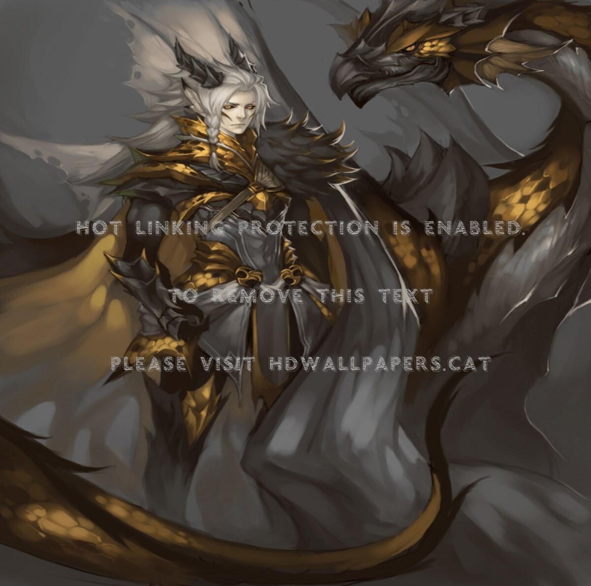 1200x1190 knight & dragon art golden armor anime mn
