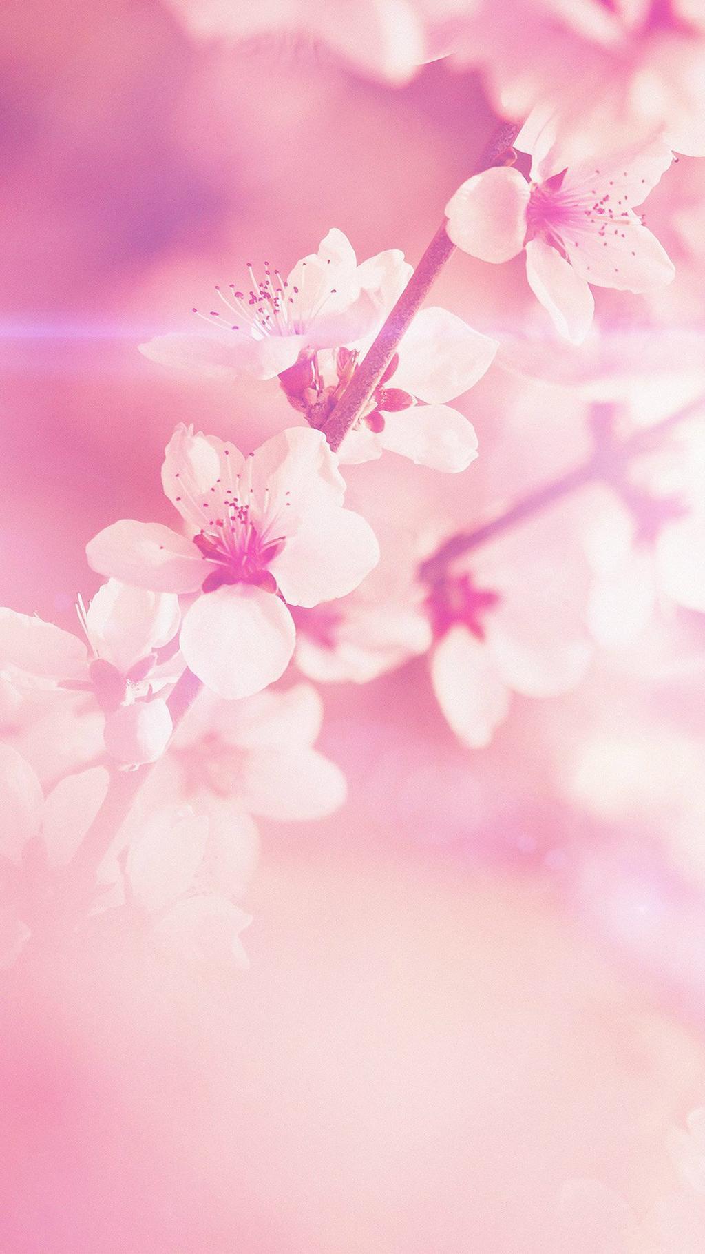 Light Pink Wallpaper Iphone X