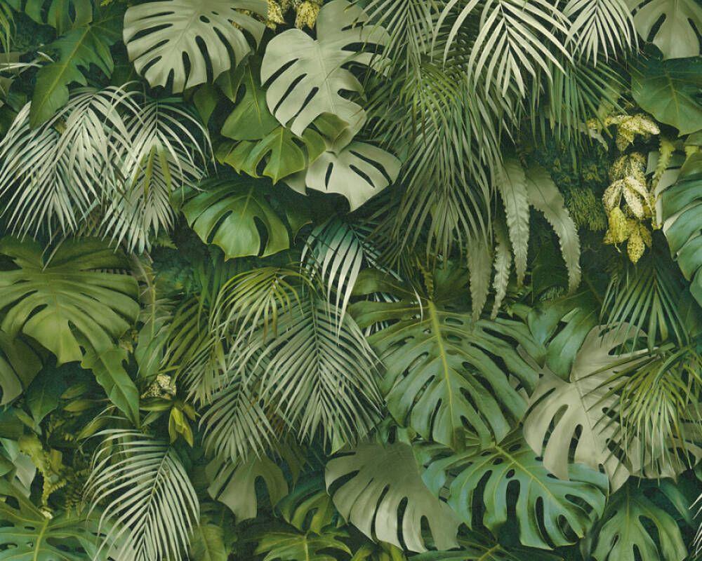 Jungle Print Wallpapers - Top Free Jungle Print Backgrounds