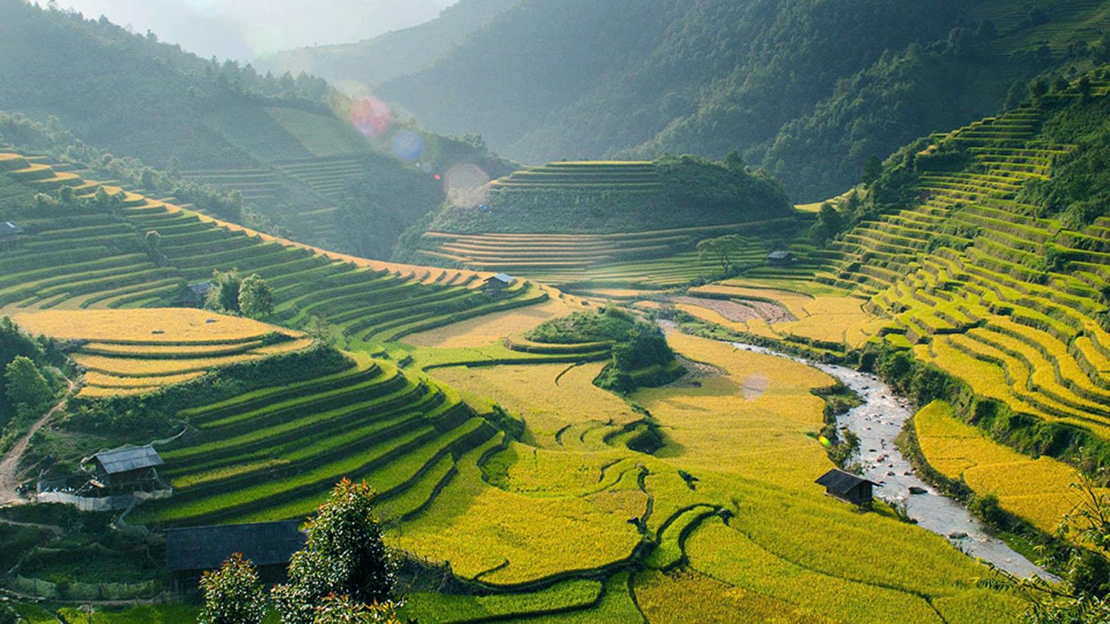 Village Nature Wallpapers Top Free Village Nature Backgrounds