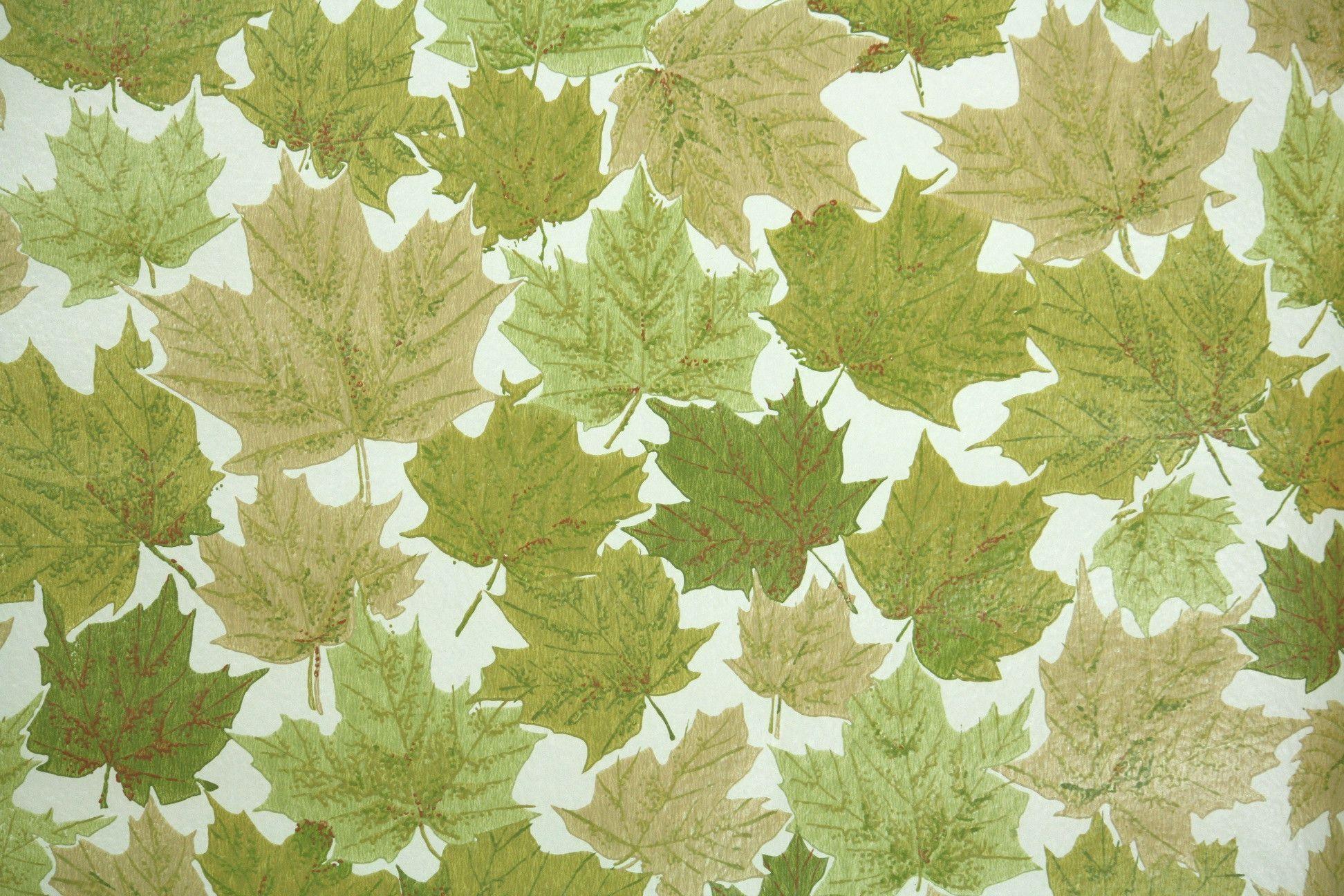 1944x1296 1960s Botanical Vintage Wallpaper. Vintage wallpaper