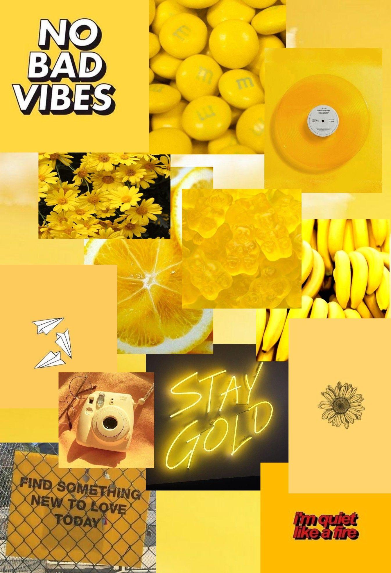 Download Yellow Sunflowers Ipad Wallpaper | Wallpapers.com