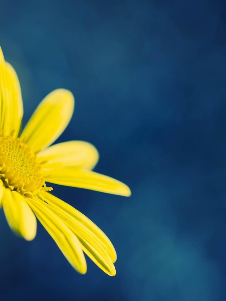 Yellow iPad Wallpapers Top Free Yellow iPad Backgrounds WallpaperAccess