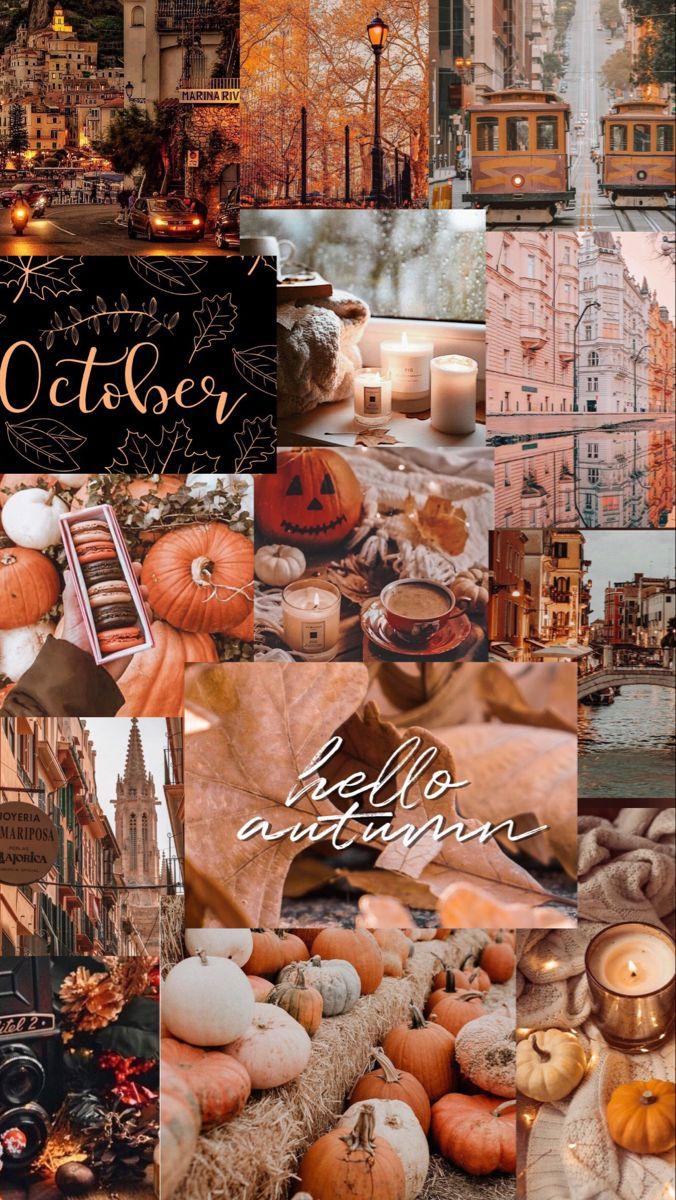 Autumn Collage Wallpapers - Top Free Autumn Collage Backgrounds