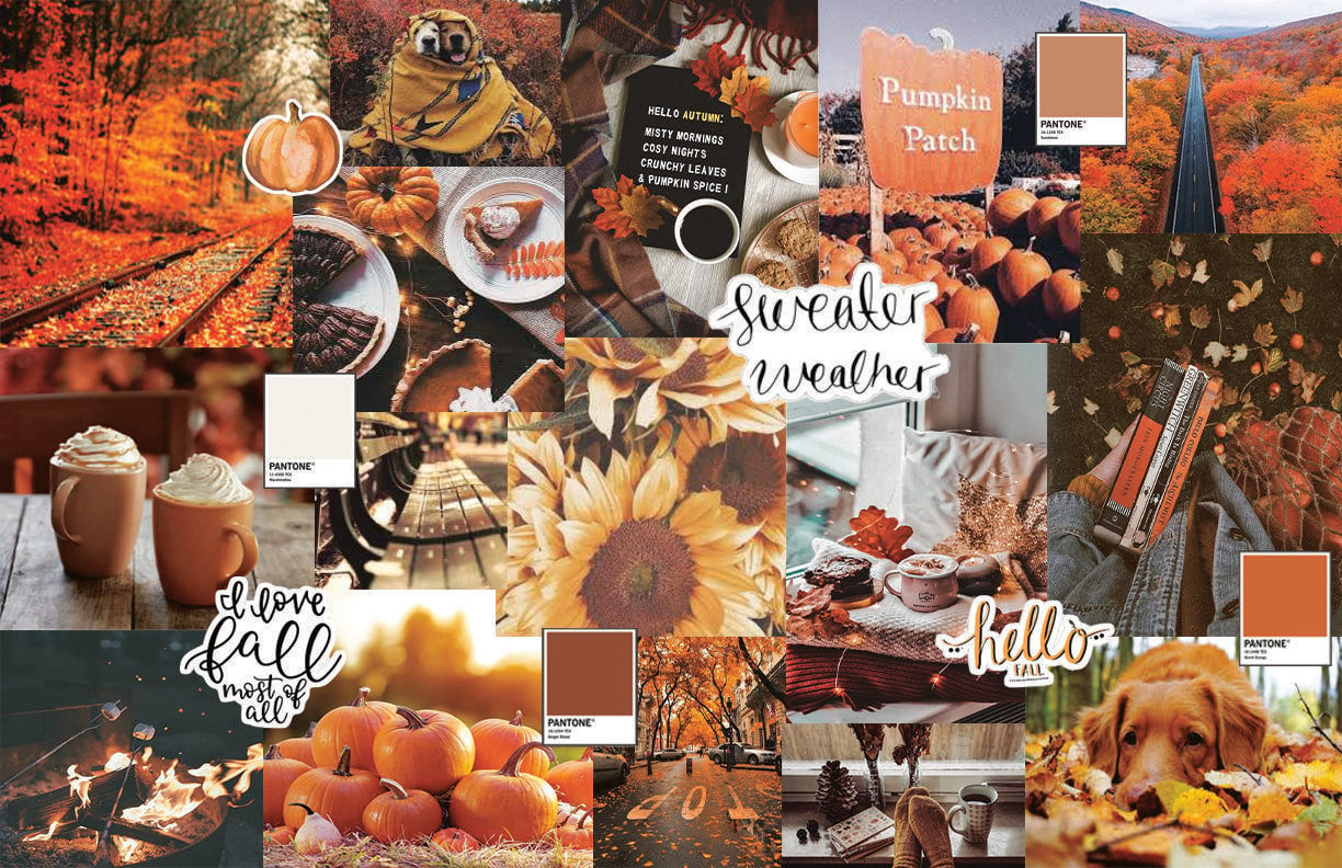 Autumn Collage Wallpapers - Top Free Autumn Collage Backgrounds ...