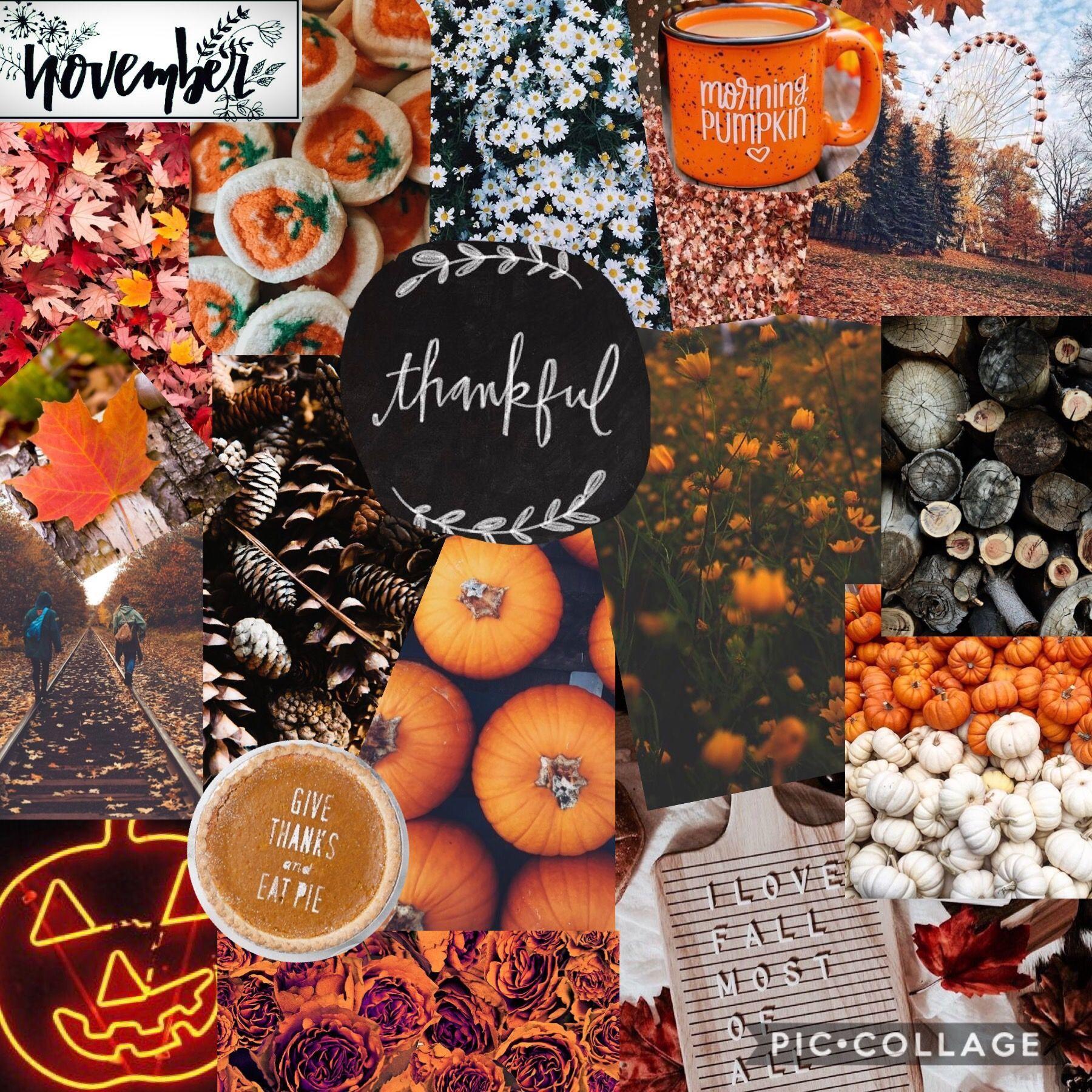1800x1800 Aesthetic Autumn Collage Wallpaper