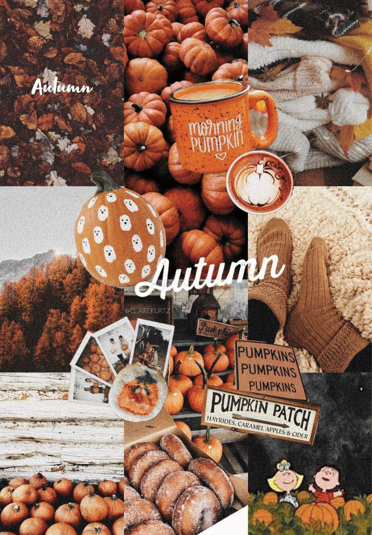 Autumn Collage Wallpapers - Top Free Autumn Collage Backgrounds