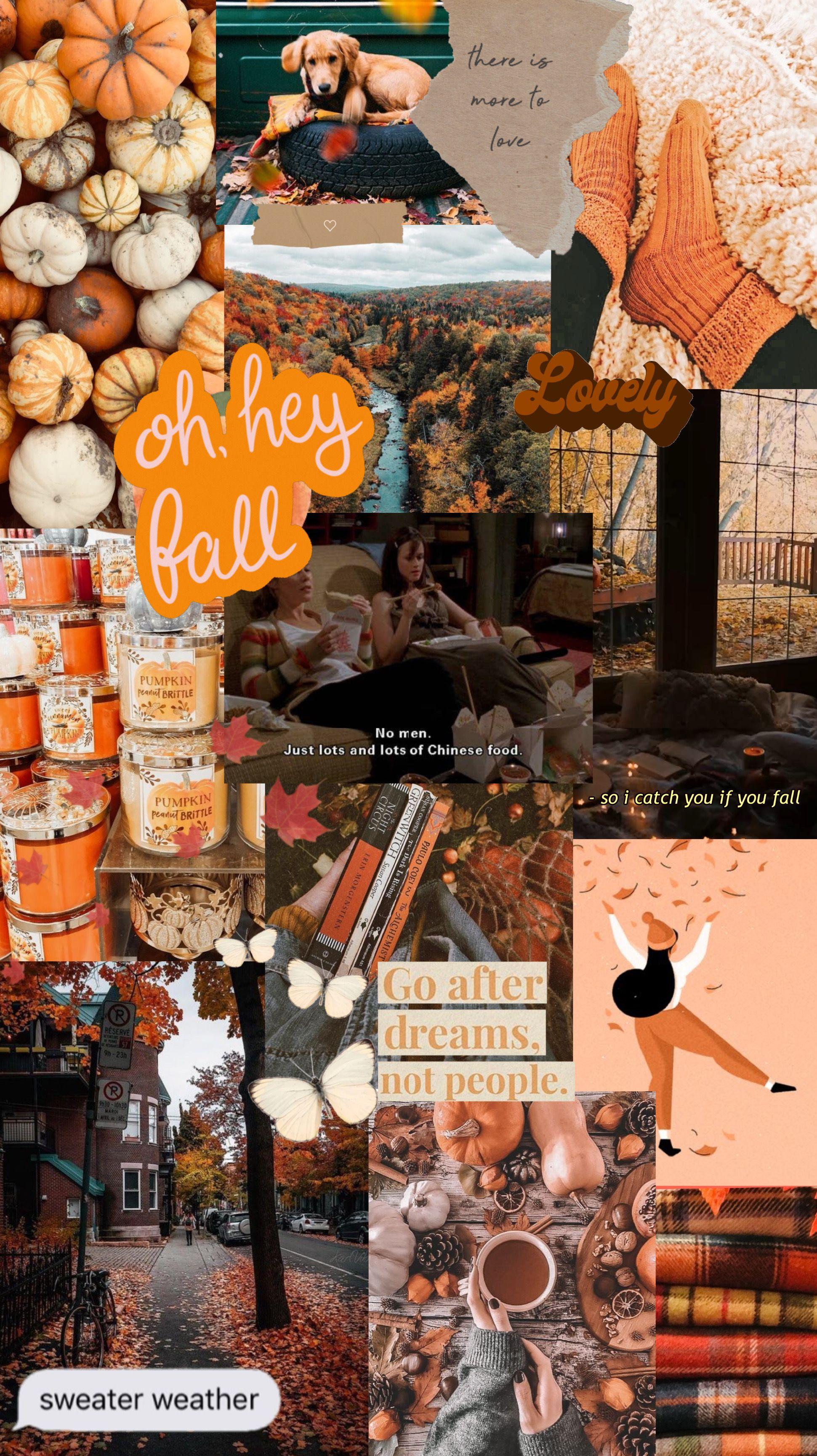 30 Autumn Collage Wallpapers  Cute Halloween Collage for Phone  Idea  Wallpapers  iPhone WallpapersColor Schemes