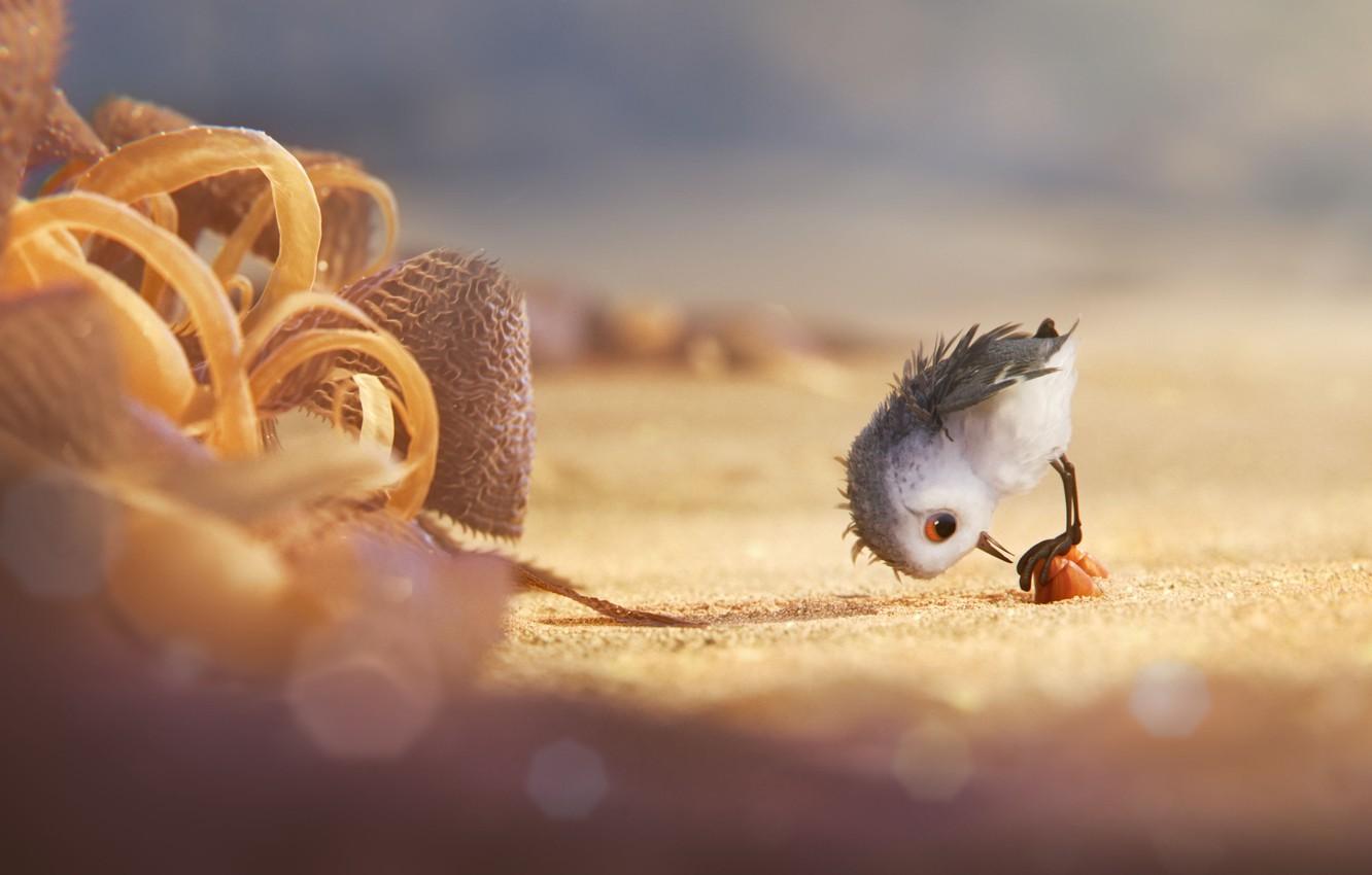 1332x850 Wallpaper kawaii, cinema, animation, Disney, Pixar, beach, sea, bird, water, beautiful, feathers, sand, cartoon, movie, new, seaside image for desktop, section фильмы