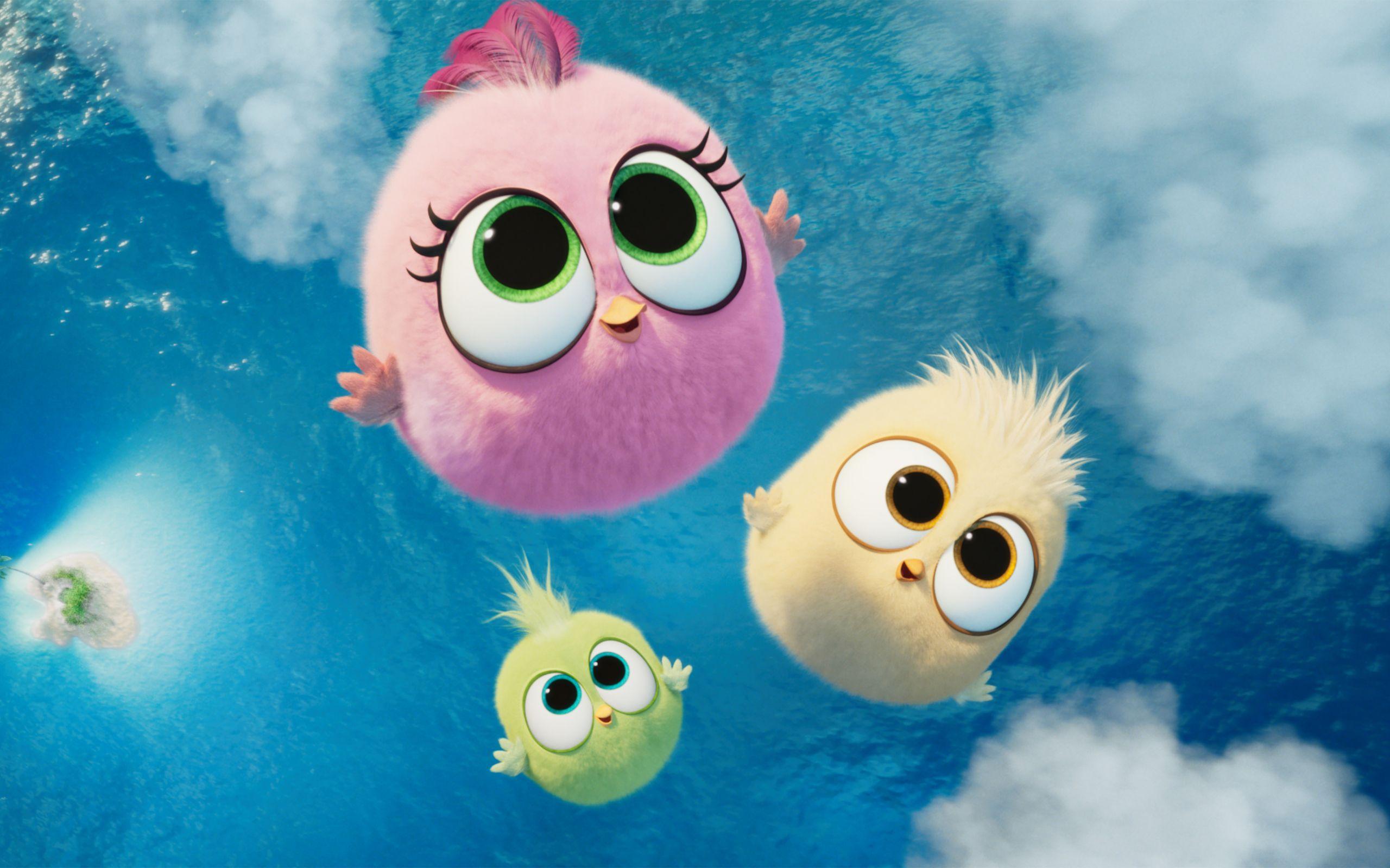 2560x1600 Zoe, Vivi, And Sam Sam In Angry Birds 2 2560x1600 Resolution Wallpaper, HD Movies 4K Wallpaper, Image, Photo And Background Den. Angry Birds Movie, Cartoon Birds, Bird Drawings