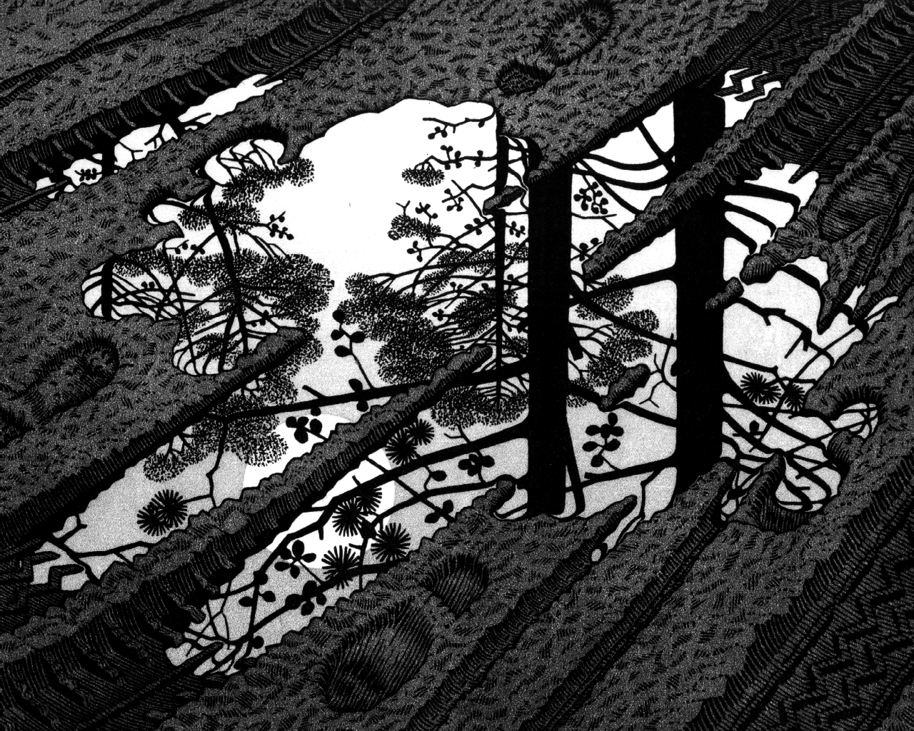 1280x1024 Free download Escher Wallpaper Widescreen [1280x1024] for your Desktop, Mobile & Tablet. Explore Escher Wallpaper. Mc Escher Wallpaper, MC Escher Wallpaper HD, MC Escher Wallpaper Screensaver