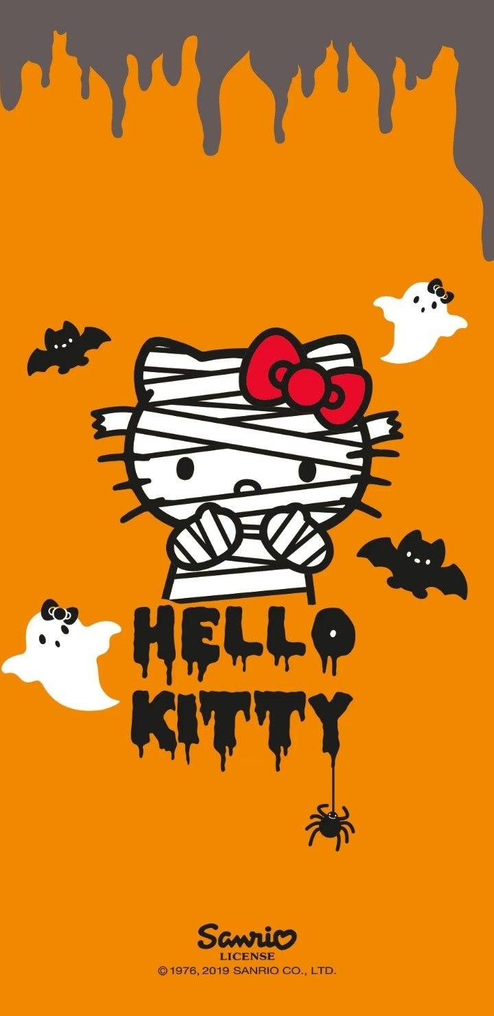 720x1480 Sanrio Groovebook ideas. hello kitty, hello kitty wallpaper, kitty wallpaper