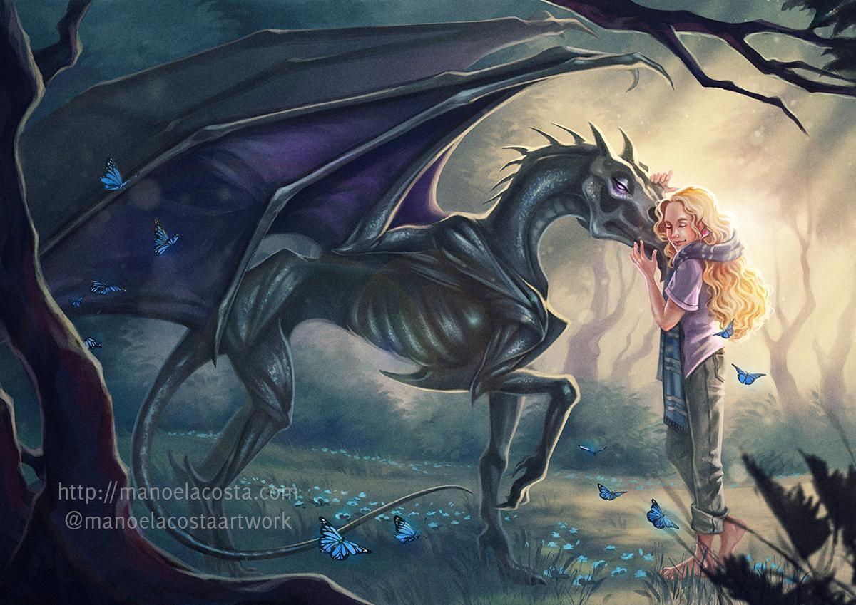 Thestral Wallpapers Top Free Thestral Backgrounds Wallpaperaccess