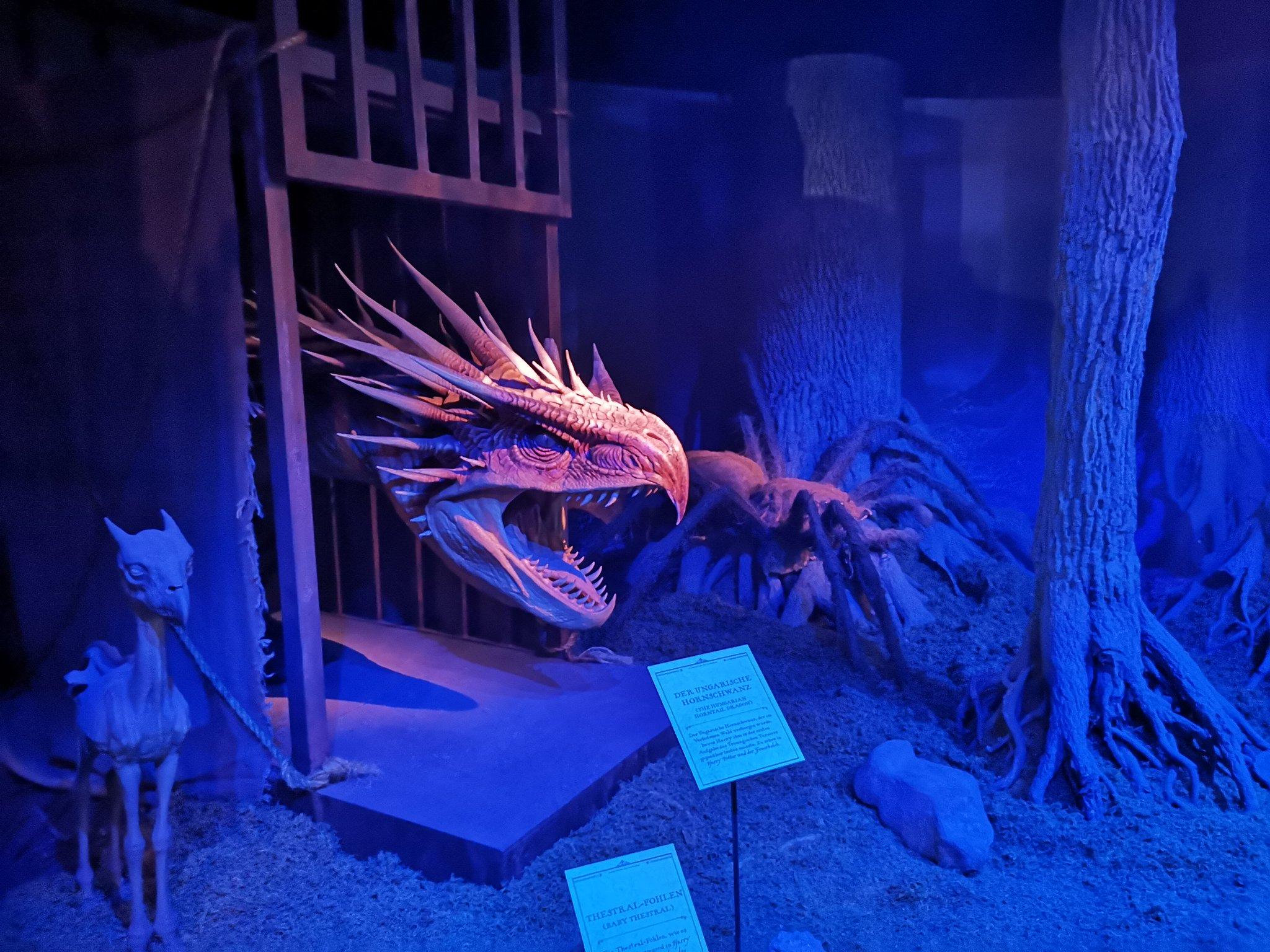 2048x1536 raketenkalle Potter The Exhibition #fotografie #photography #art #light #shadow #harrypotter #harrypottertheexhibition #griffindor #huffelpuff #ravenclaw #slytherin #hogwarts #potsdam #babelsberg #jkrowling #thestral #dragon