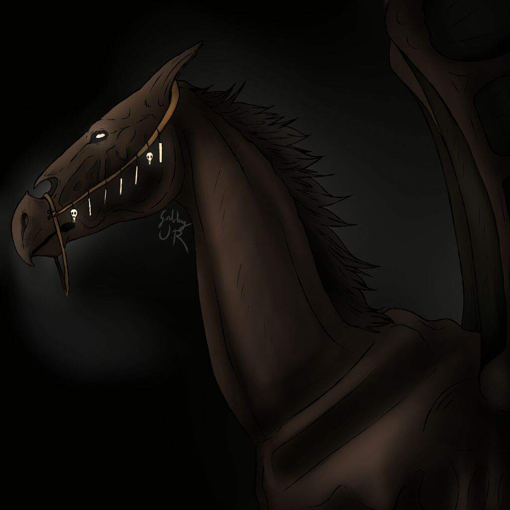 1024x1024 √Thestral—FanArt√. Harry Potter Amino