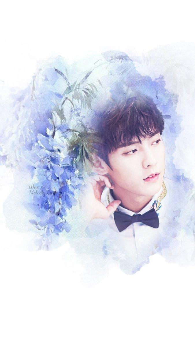 675x1200 Wex MelodyLine