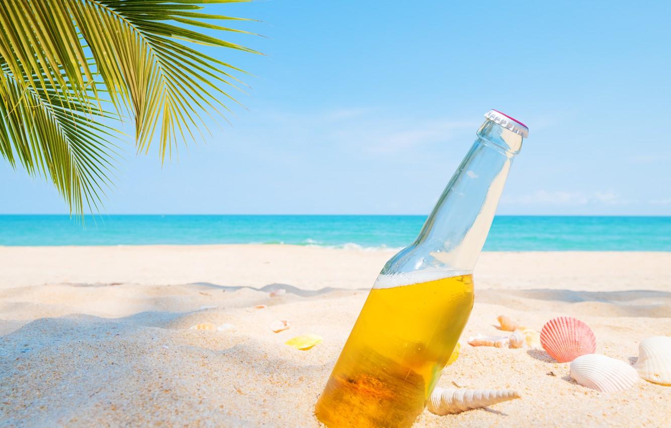 1332x850 Wallpaper sand, sea, beach, summer, palm trees, stay, beer, shell, summer, beach, vacation, sea, sand, beer, paradise, vacation image for desktop, section настроения