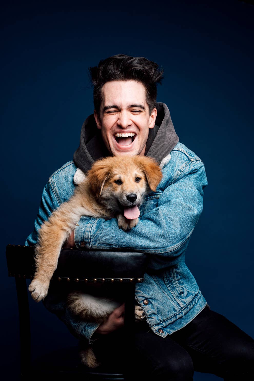 990x1483 Brendon Urie Played With Puppies While Answering Fan Questions And It's Adorable
