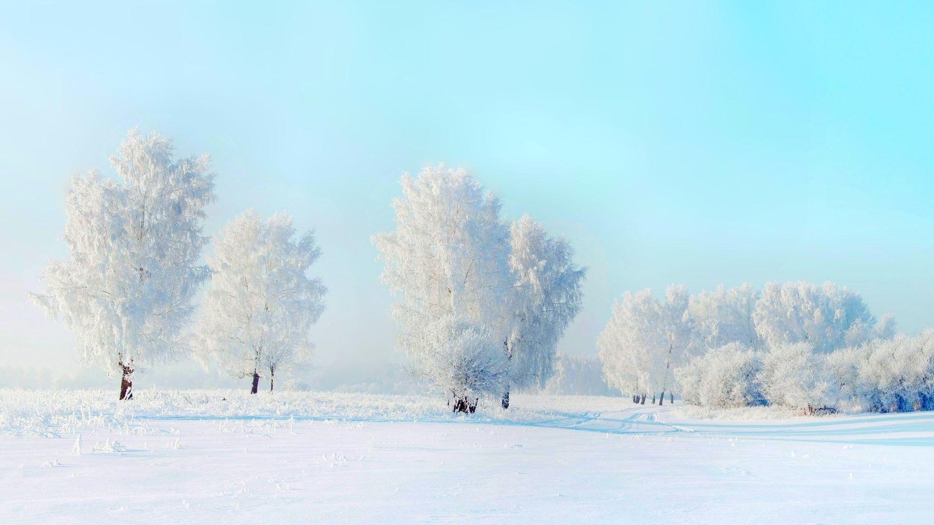 1920x1080 Snow Winter HD Wallpaper Snow Wallpaper HD