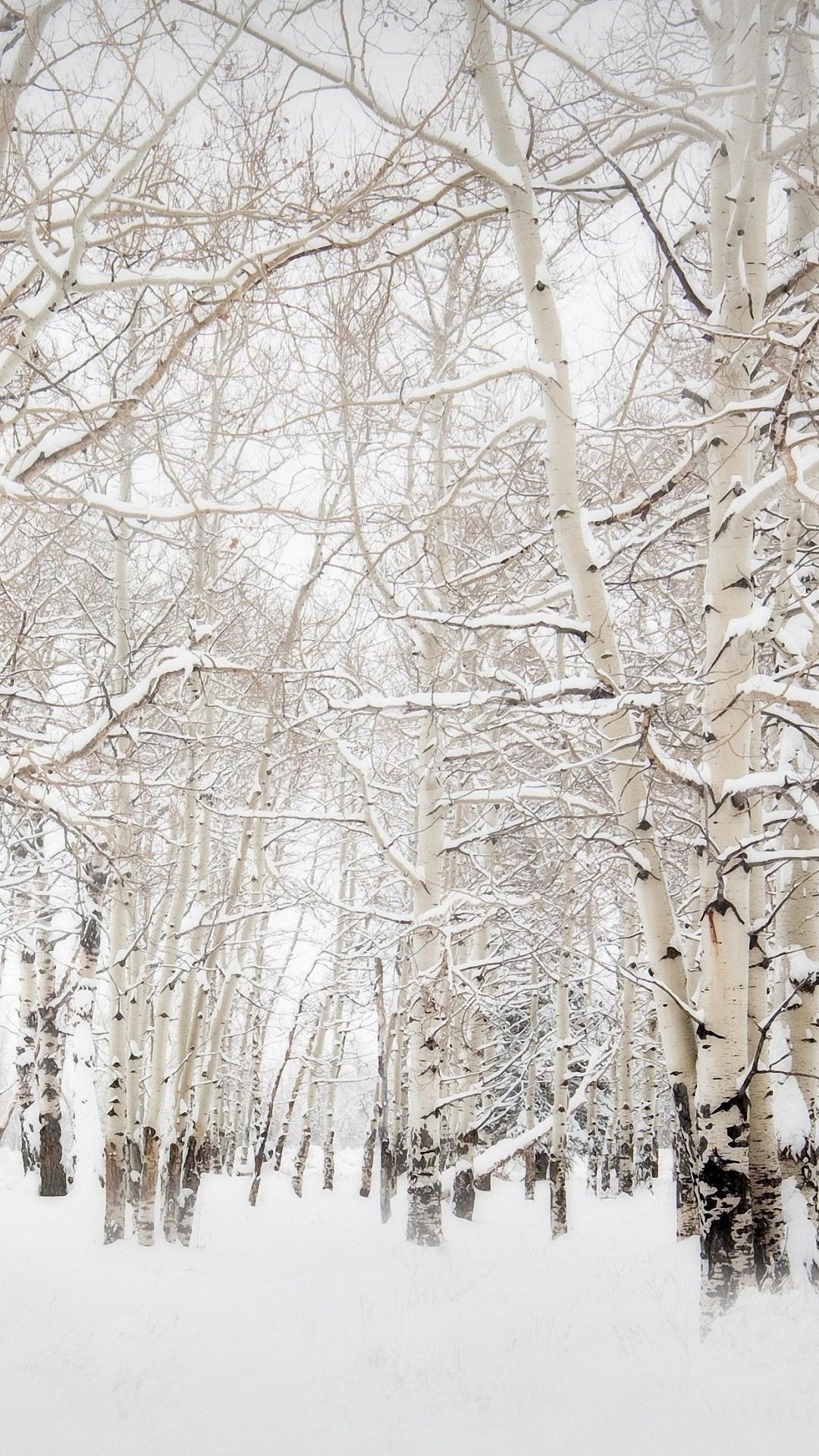 1080x1920 White Winter Forest iPhone 6s Wallpaper HD
