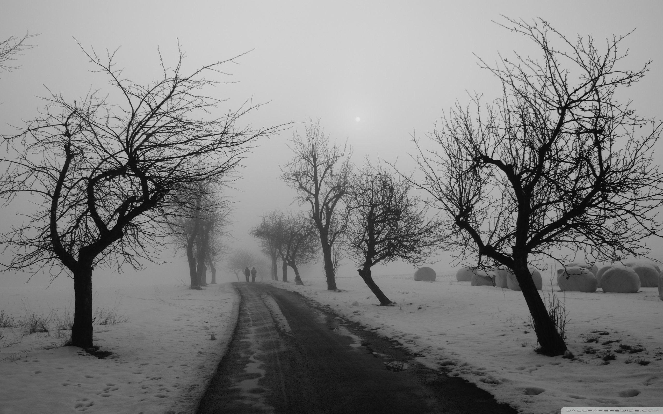 2560x1600 Black and White Winter Wallpaper, HD Black and White Winter Background