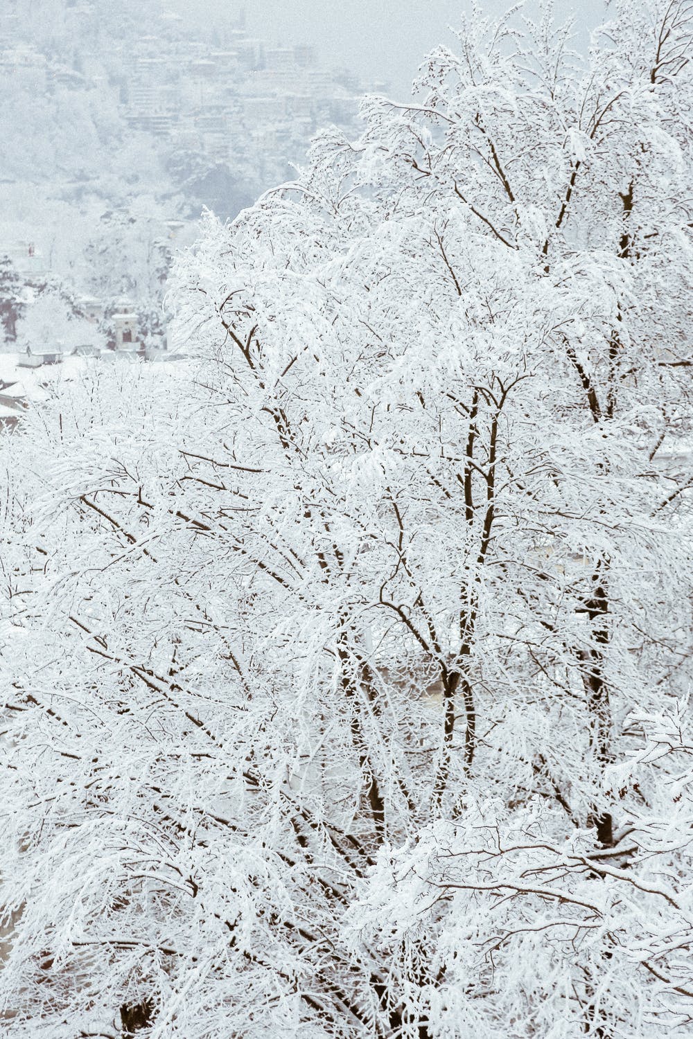 1000x1500 Free Beautiful Winter Wallpaper For iPhone That You'll Love