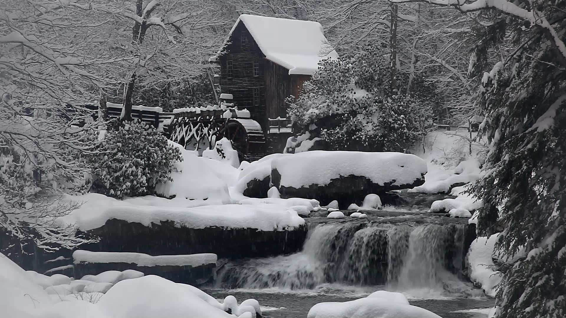 1920x1080 Pretty White Winter Wallpaper